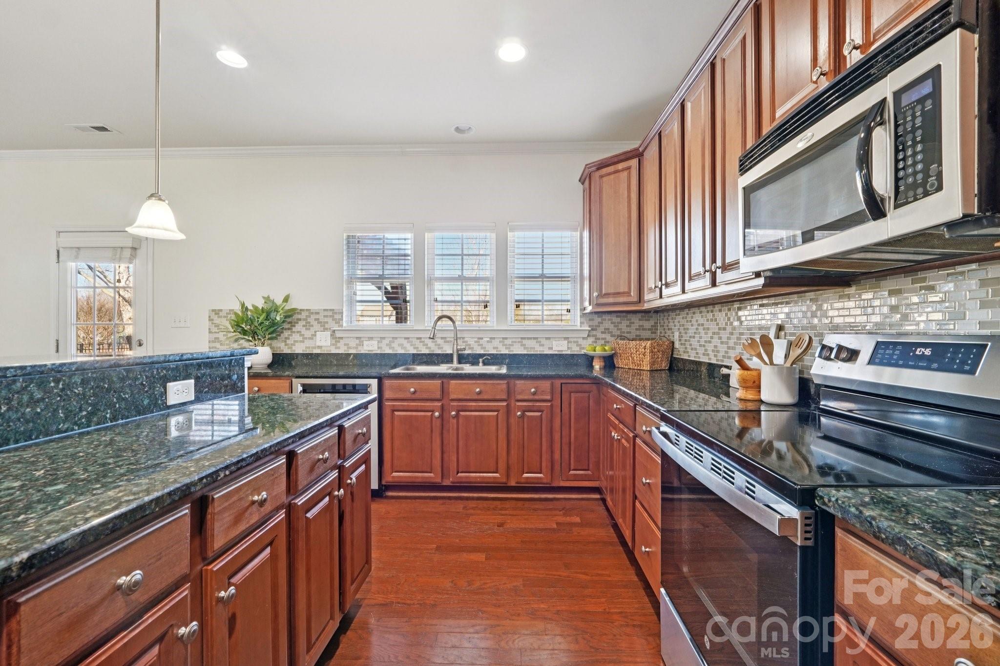 17319 Silas Place Drive — Davidson