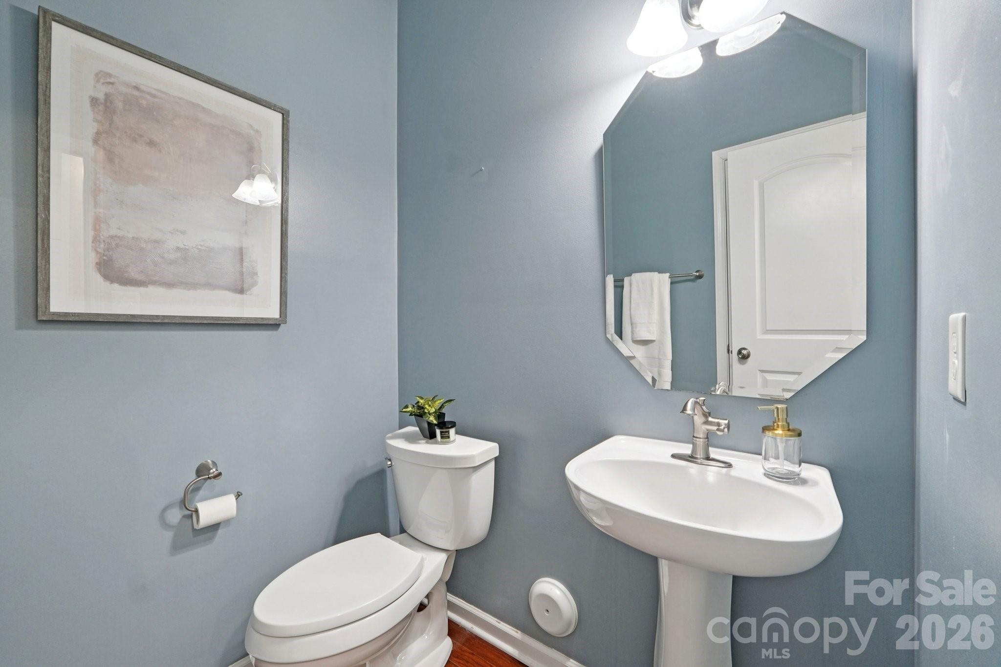 17319 Silas Place Drive — Davidson