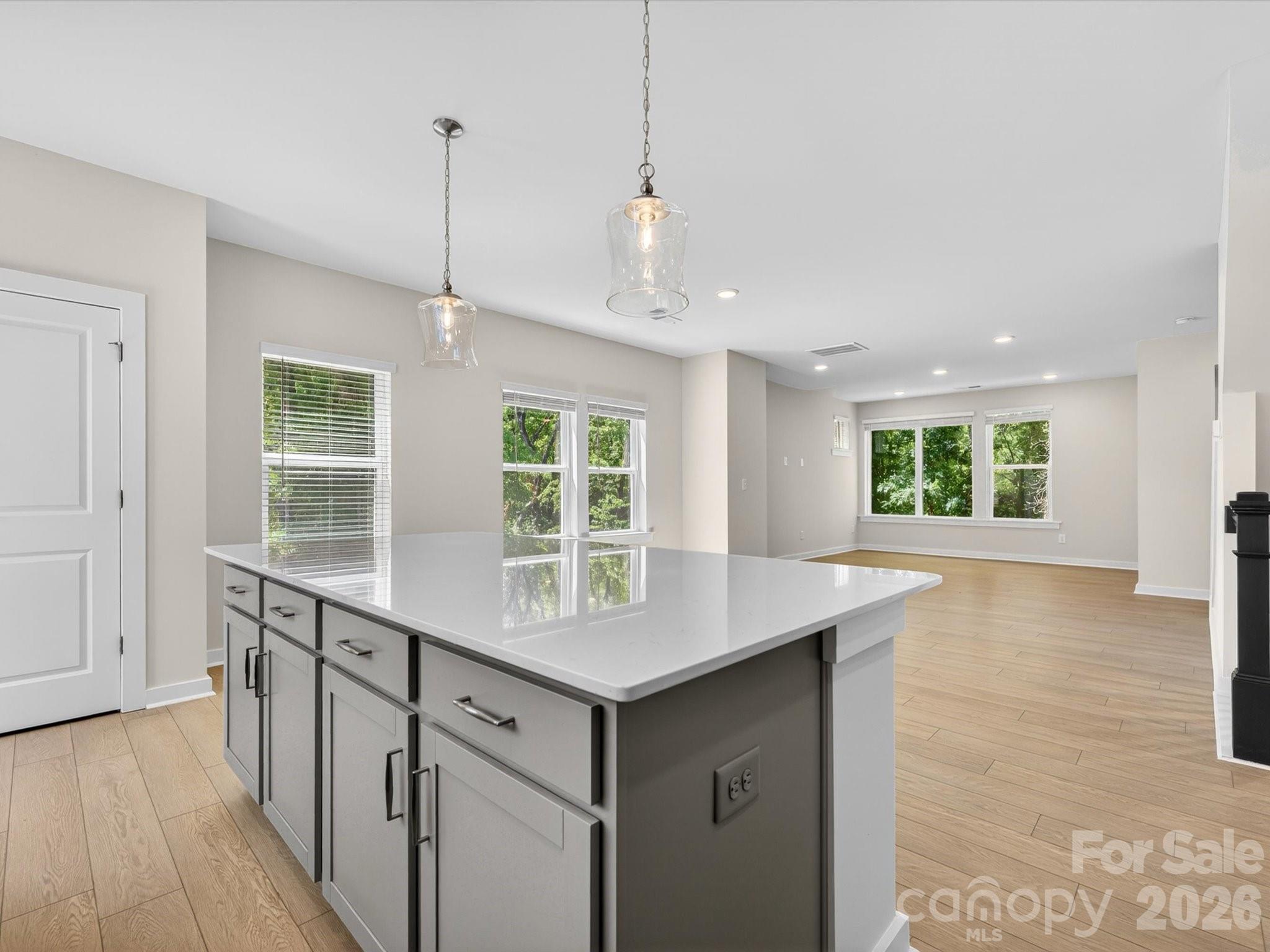1534 Lithium Lane — Charlotte