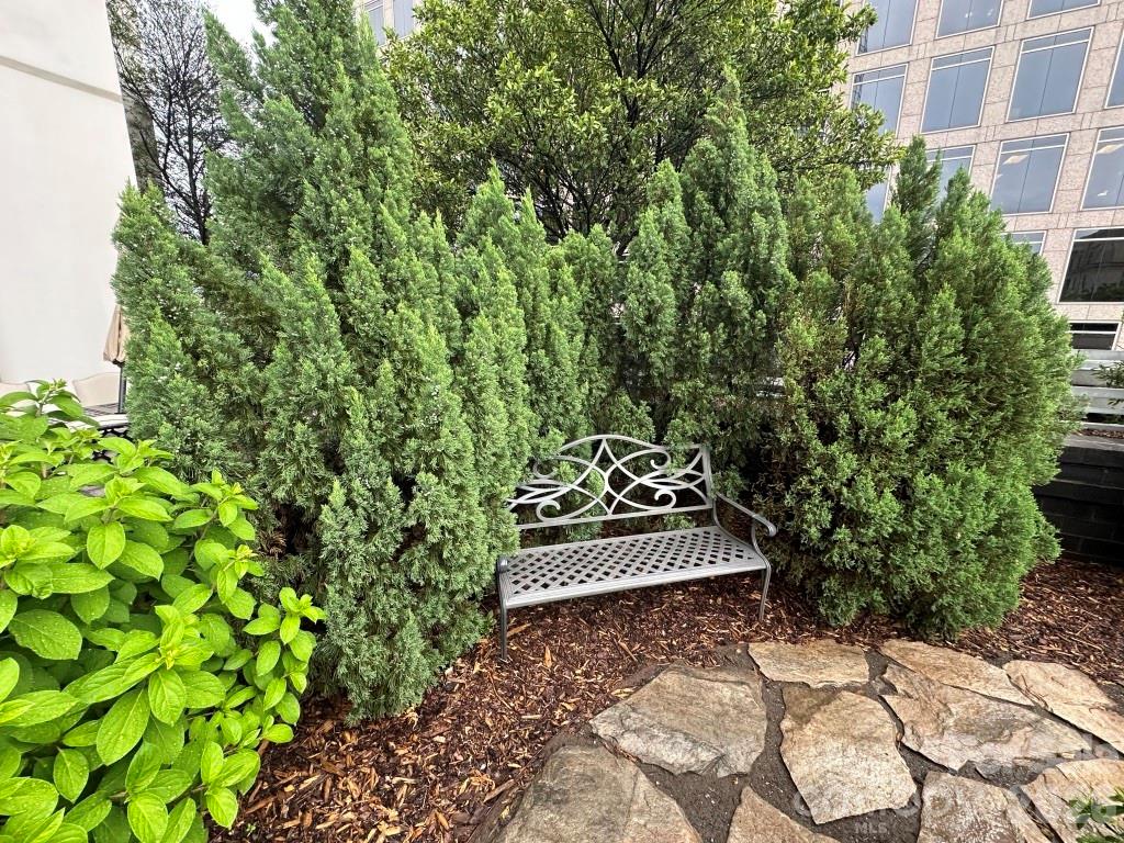 333 W Trade Street W #708 — Charlotte