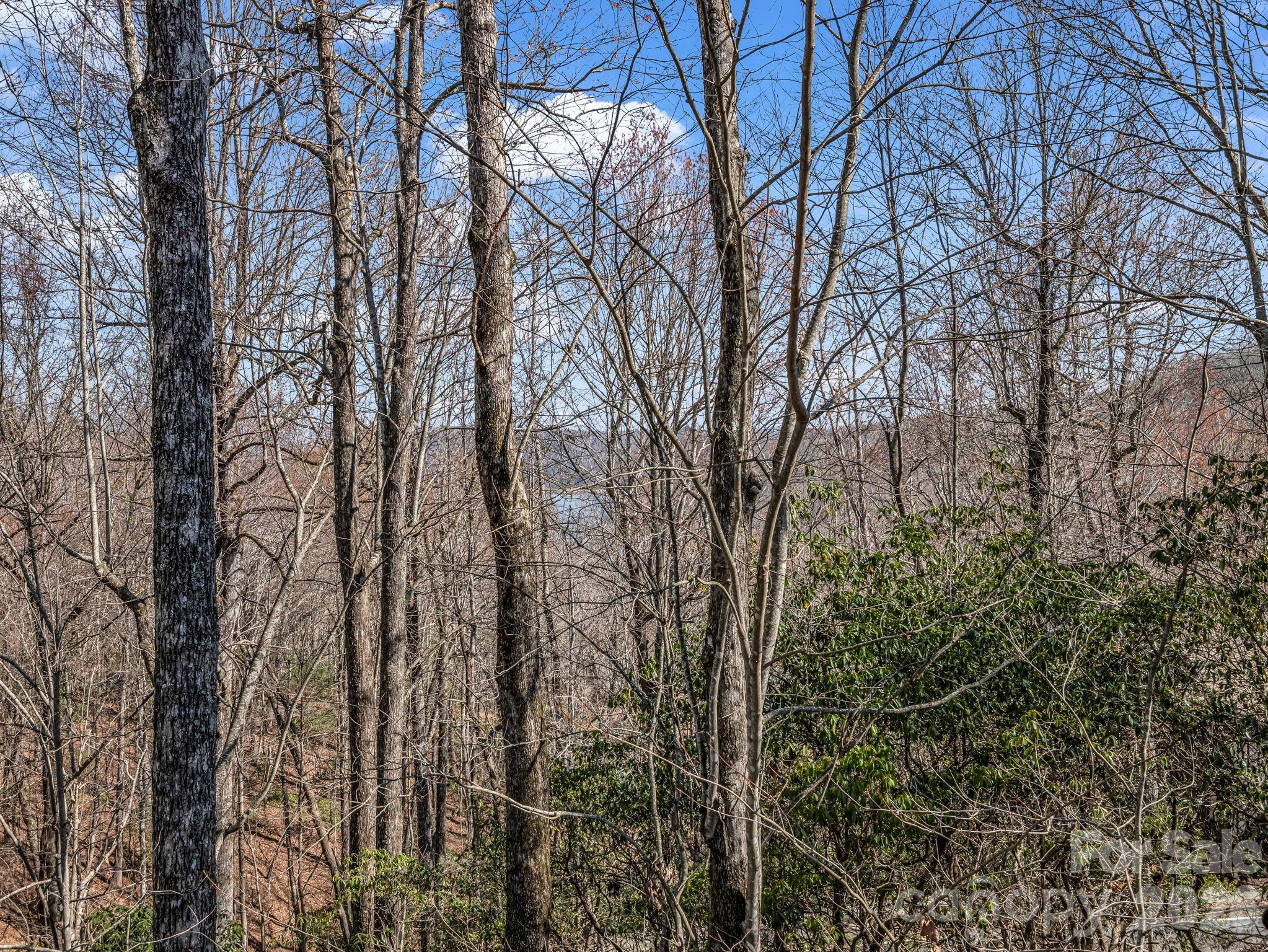 177 Tsisqua Circle — Brevard