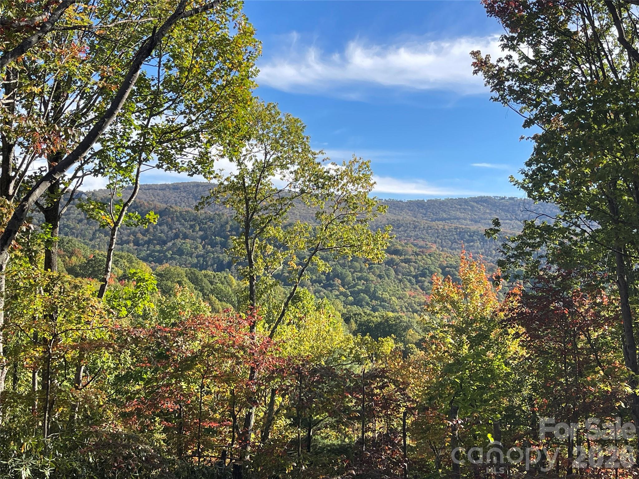 225 Oak Road — Beech Mountain