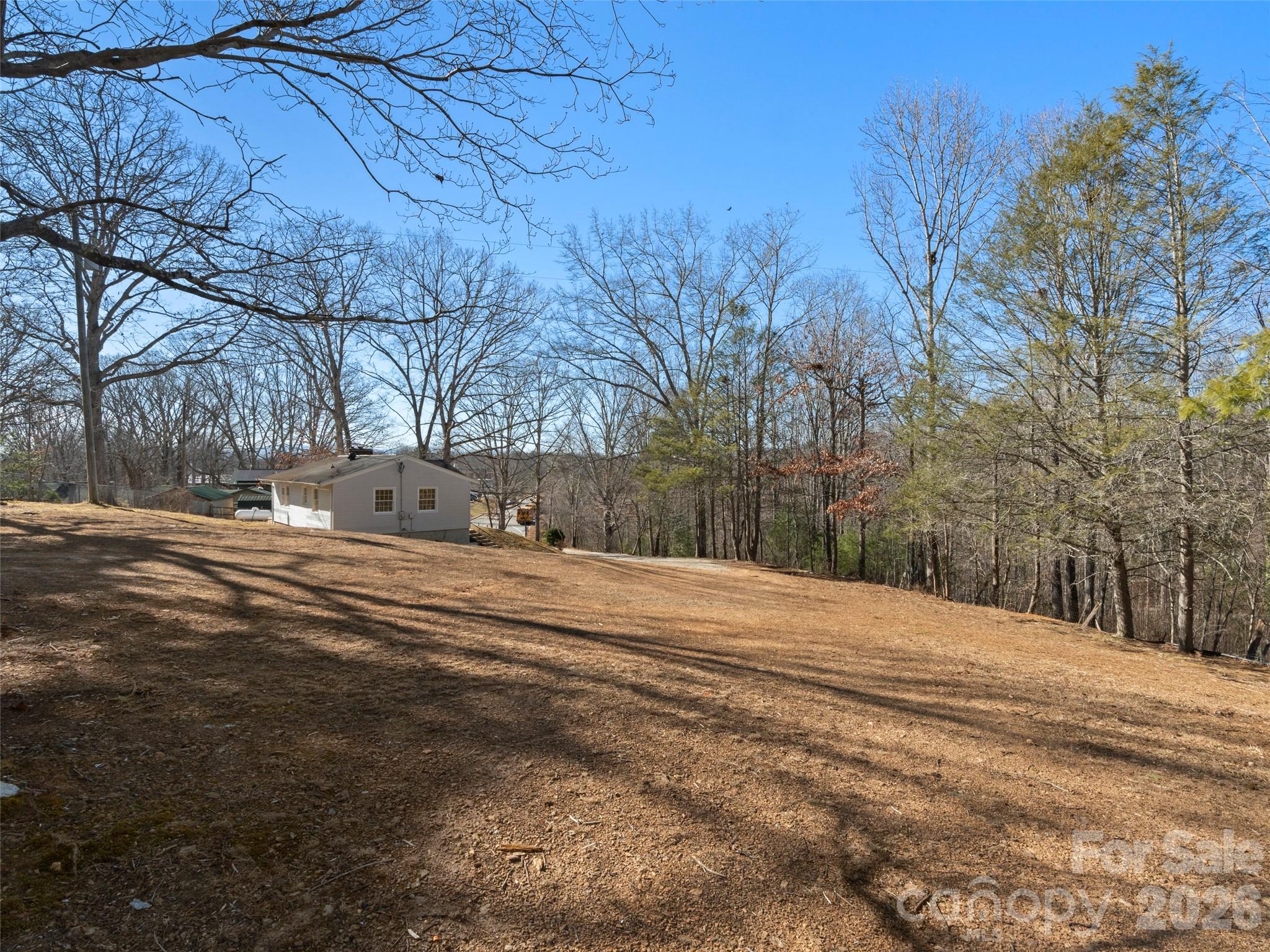 76 Maple Springs Road — Asheville