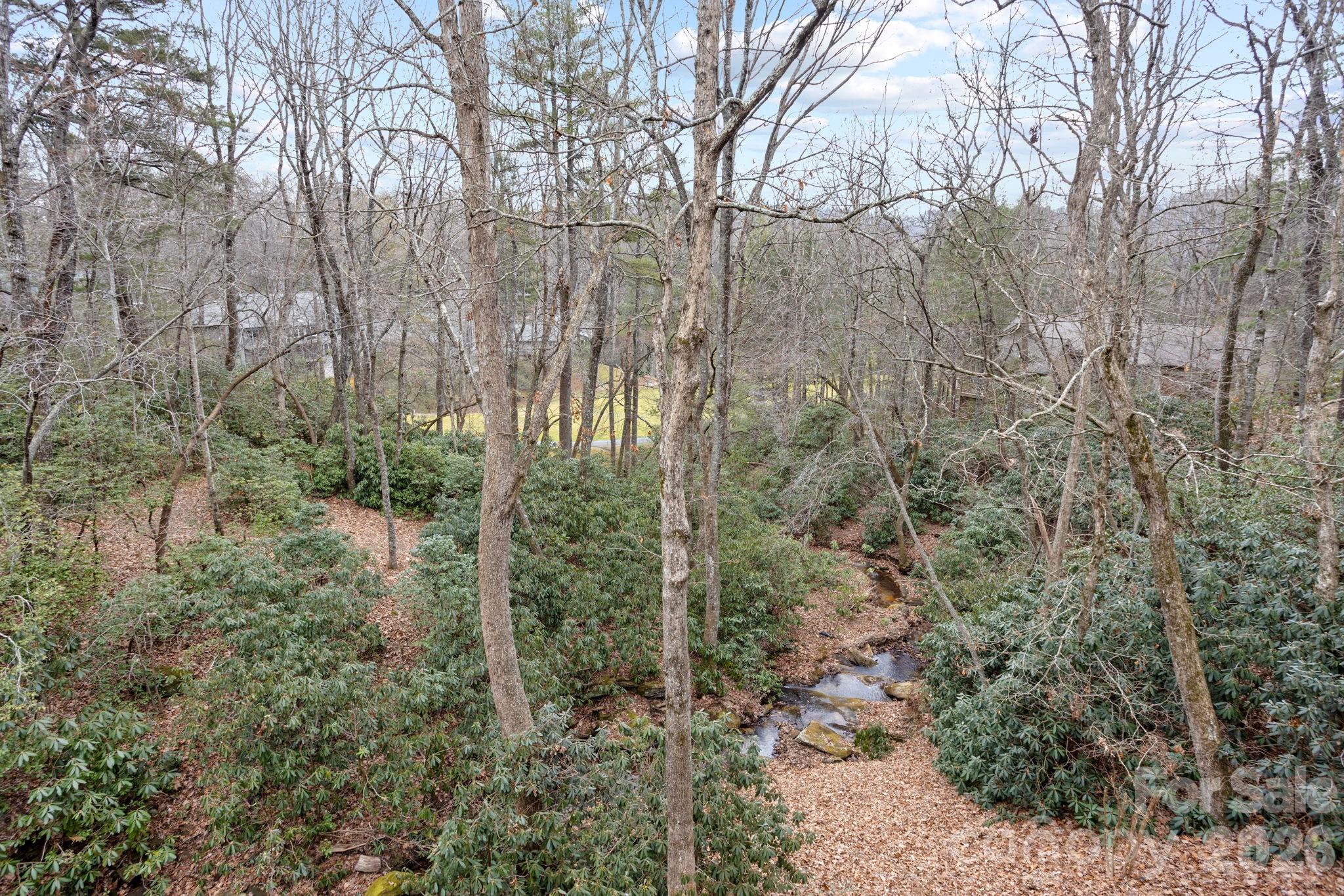 175 Overlook Drive — Flat Rock