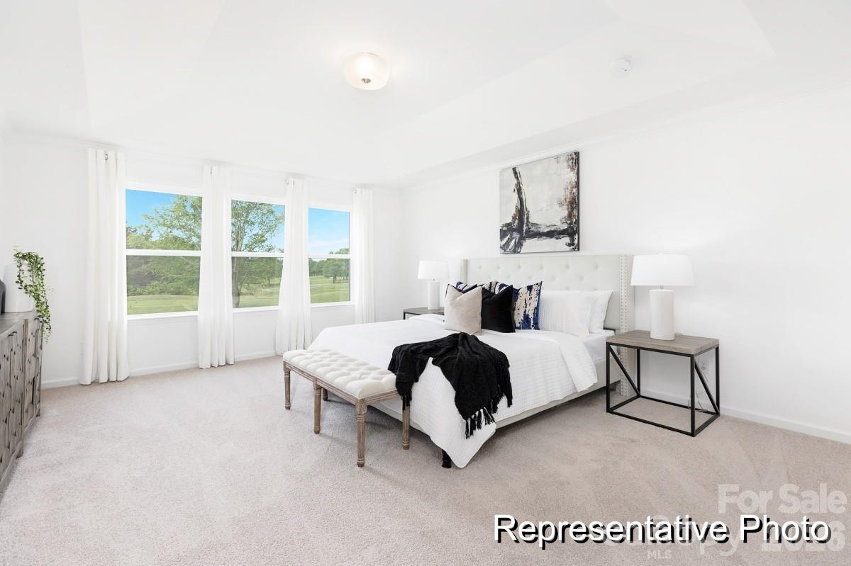 1131 Lorrie Lane #405p — Albemarle