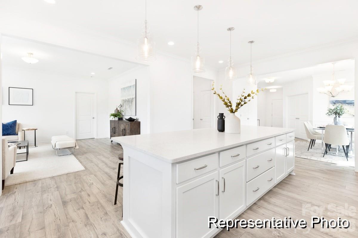 1131 Lorrie Lane #405p — Albemarle