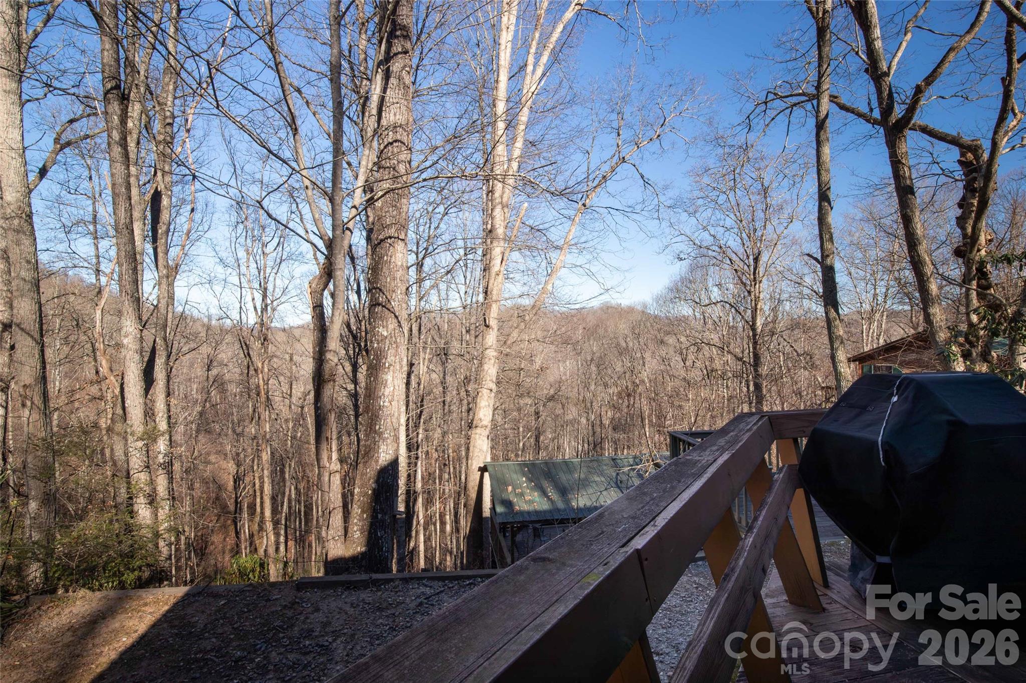 244 Grindstone Knob Road — Whittier