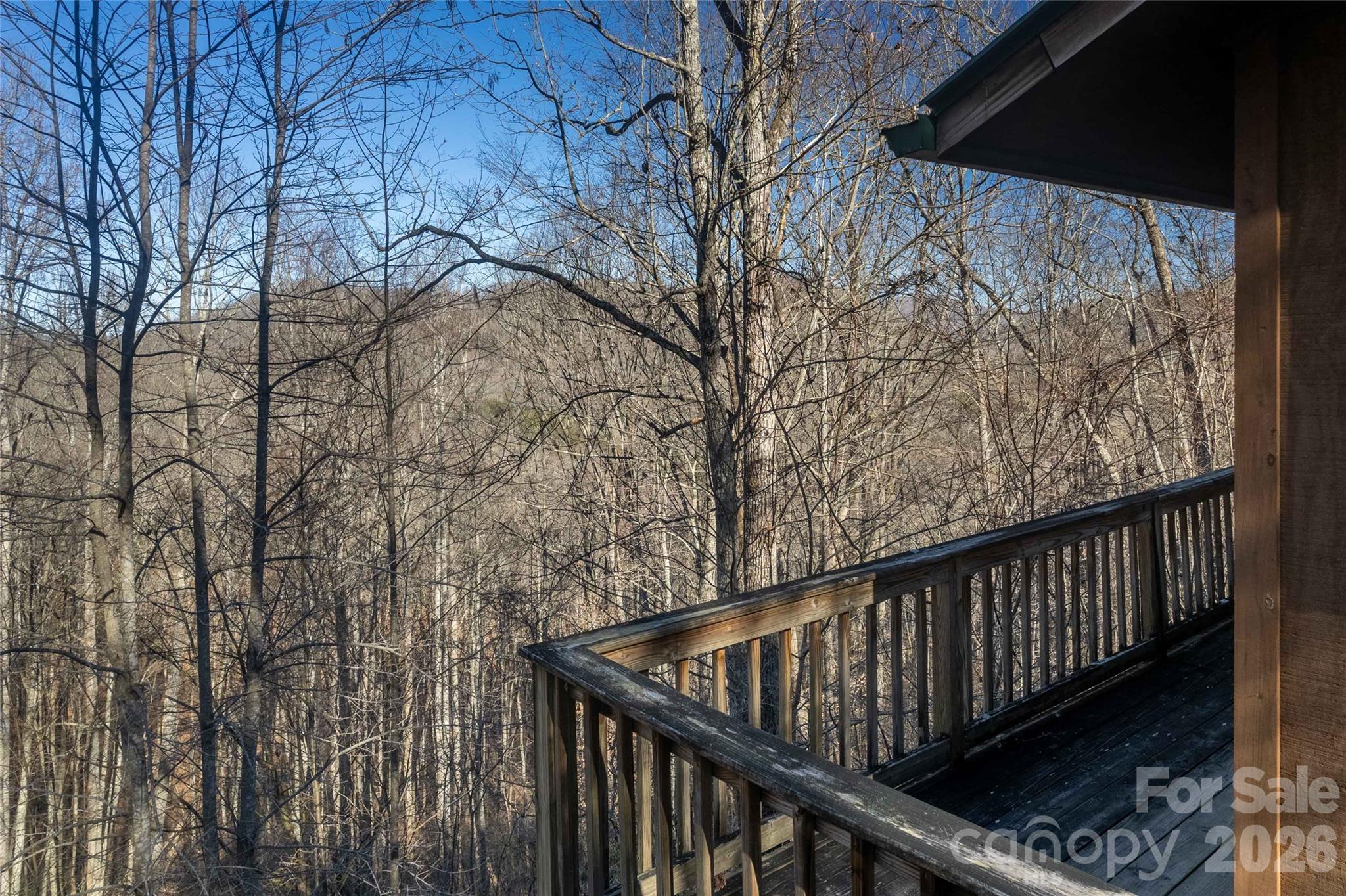244 Grindstone Knob Road — Whittier