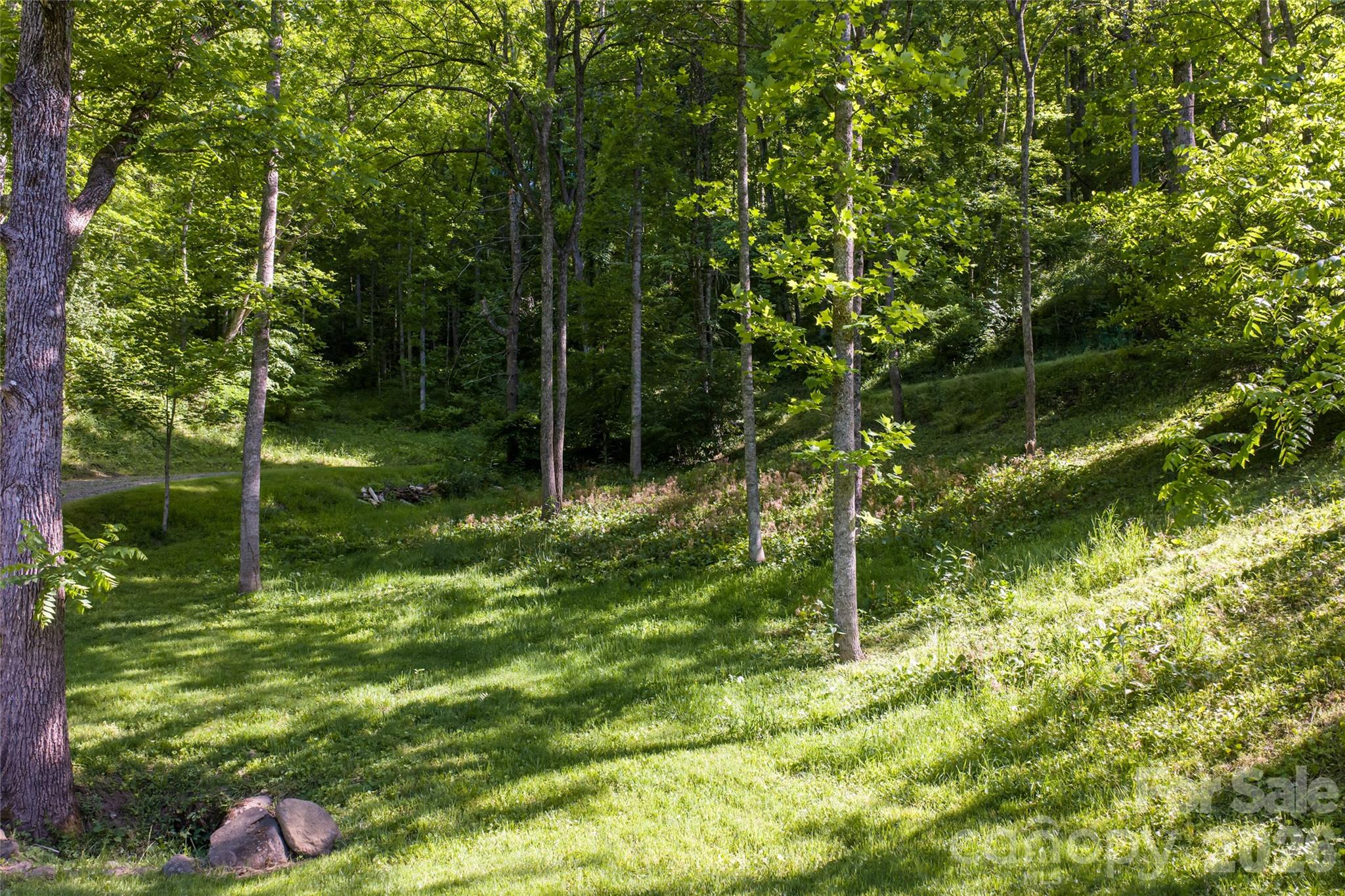 64 Hobson Branch Road — Weaverville