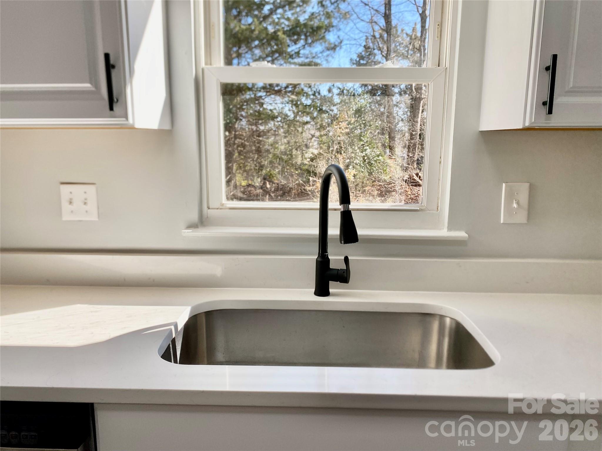 9428 White Cedar Court — Charlotte