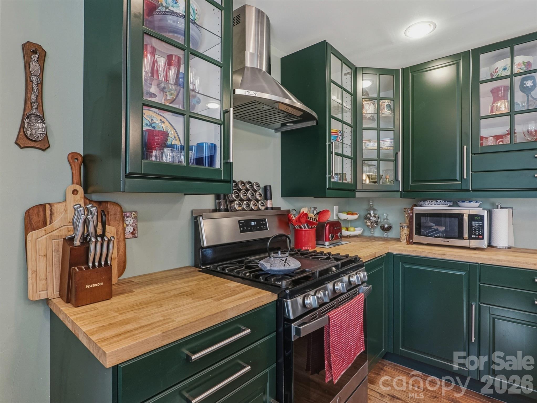239 Old Lion Road — Statesville
