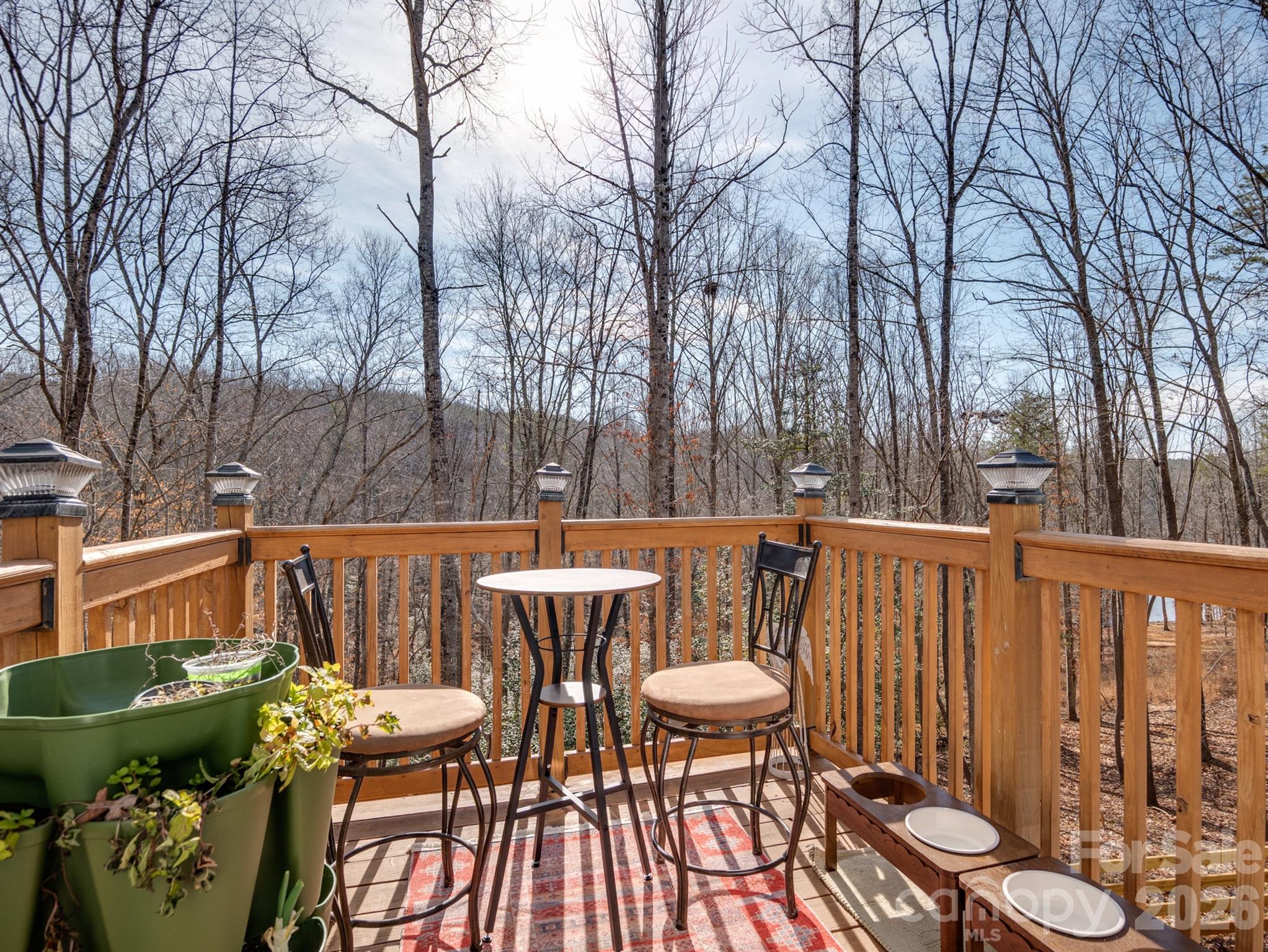 239 Old Lion Road — Statesville