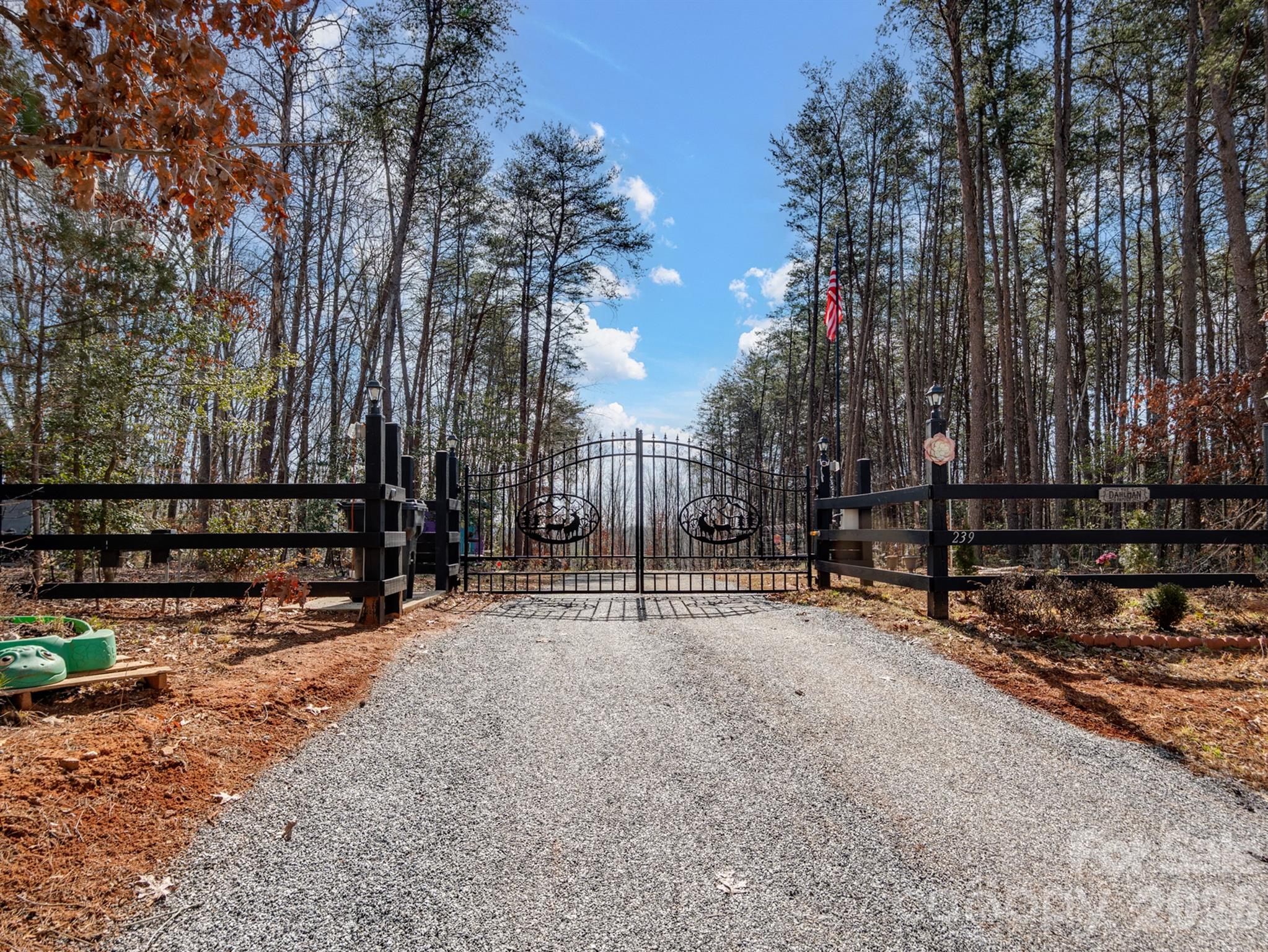 239 Old Lion Road — Statesville