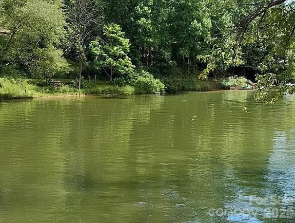 239 Old Lion Road — Statesville