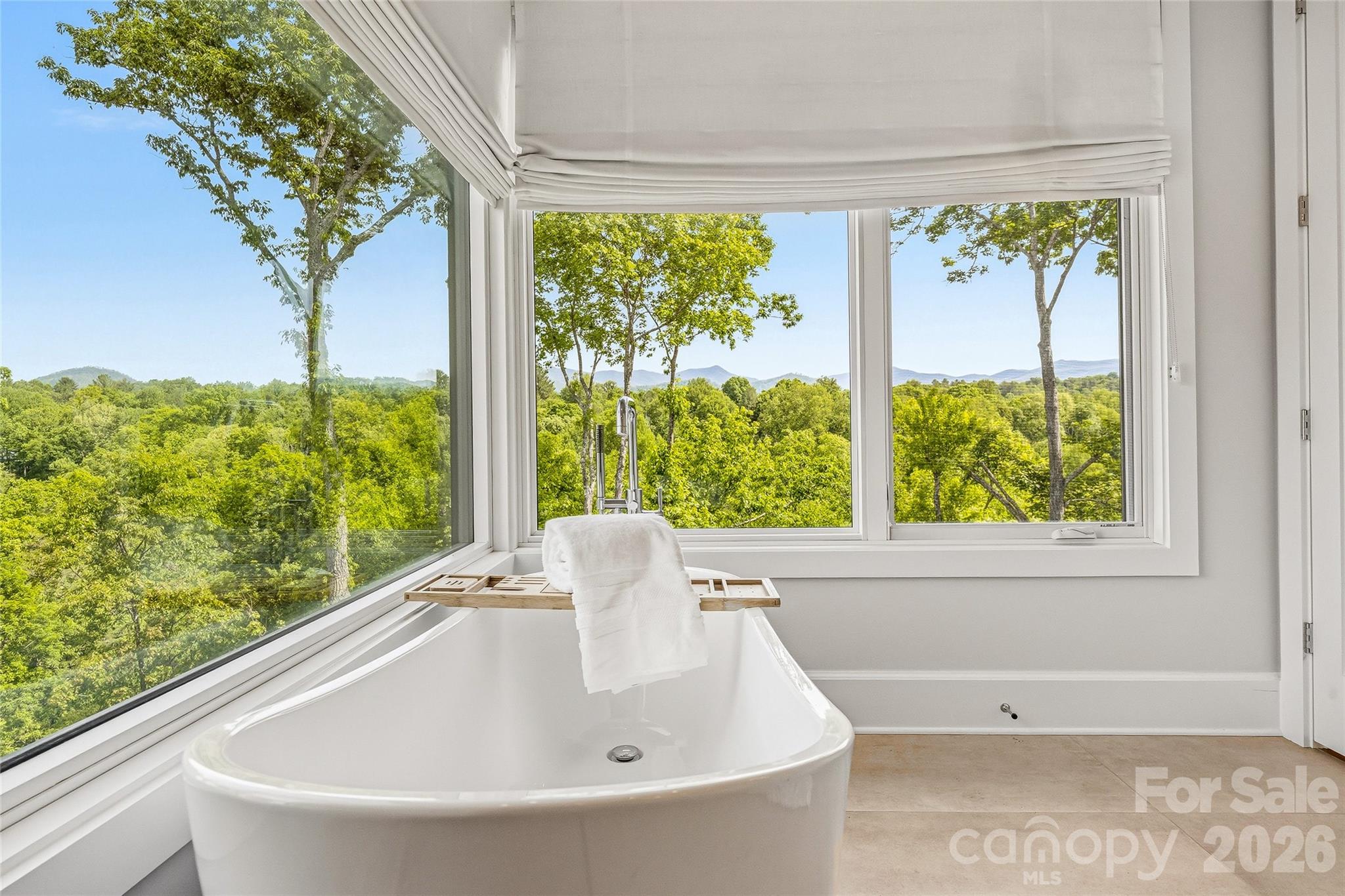 162 Riverbend Forest Drive — Asheville