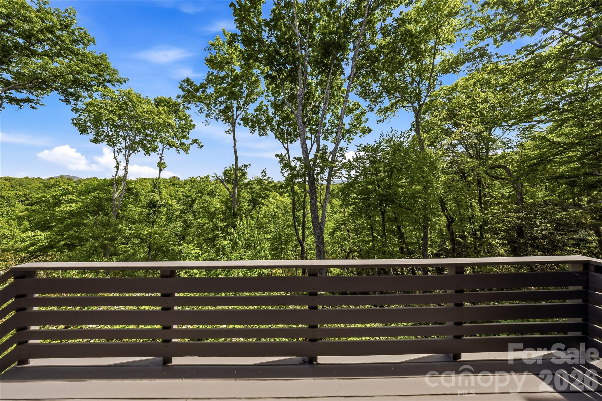 162 Riverbend Forest Drive — Asheville