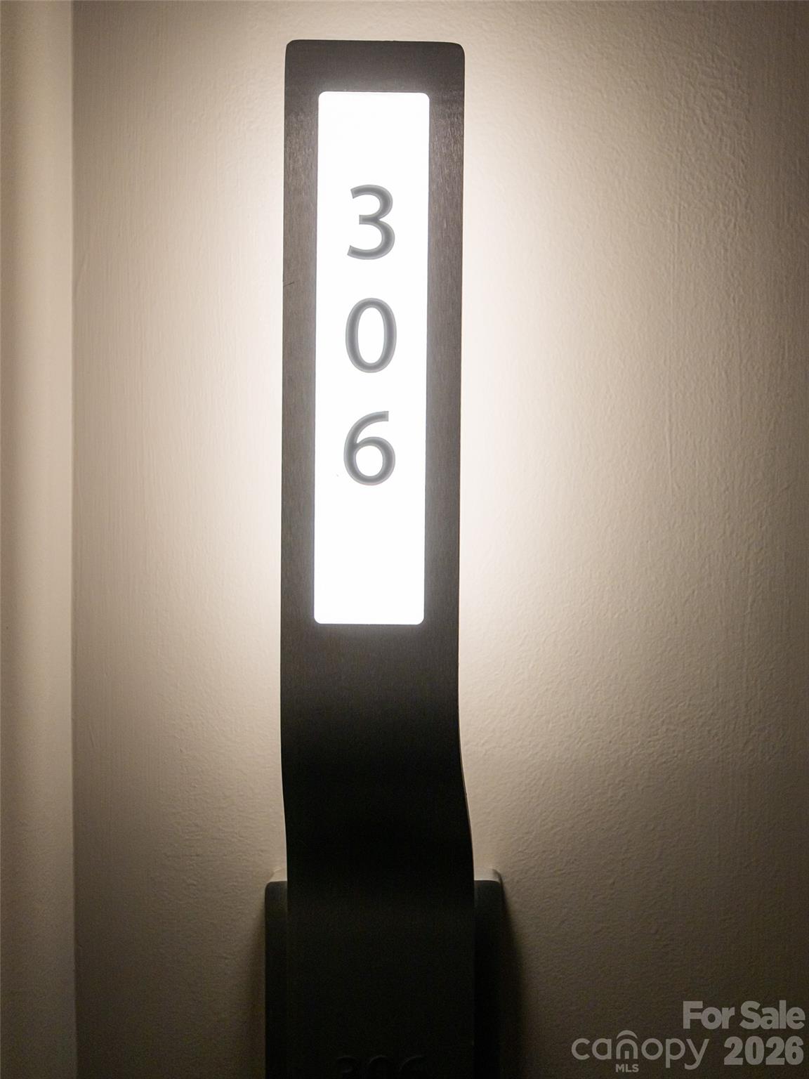 45 Asheland Avenue #306 — Asheville