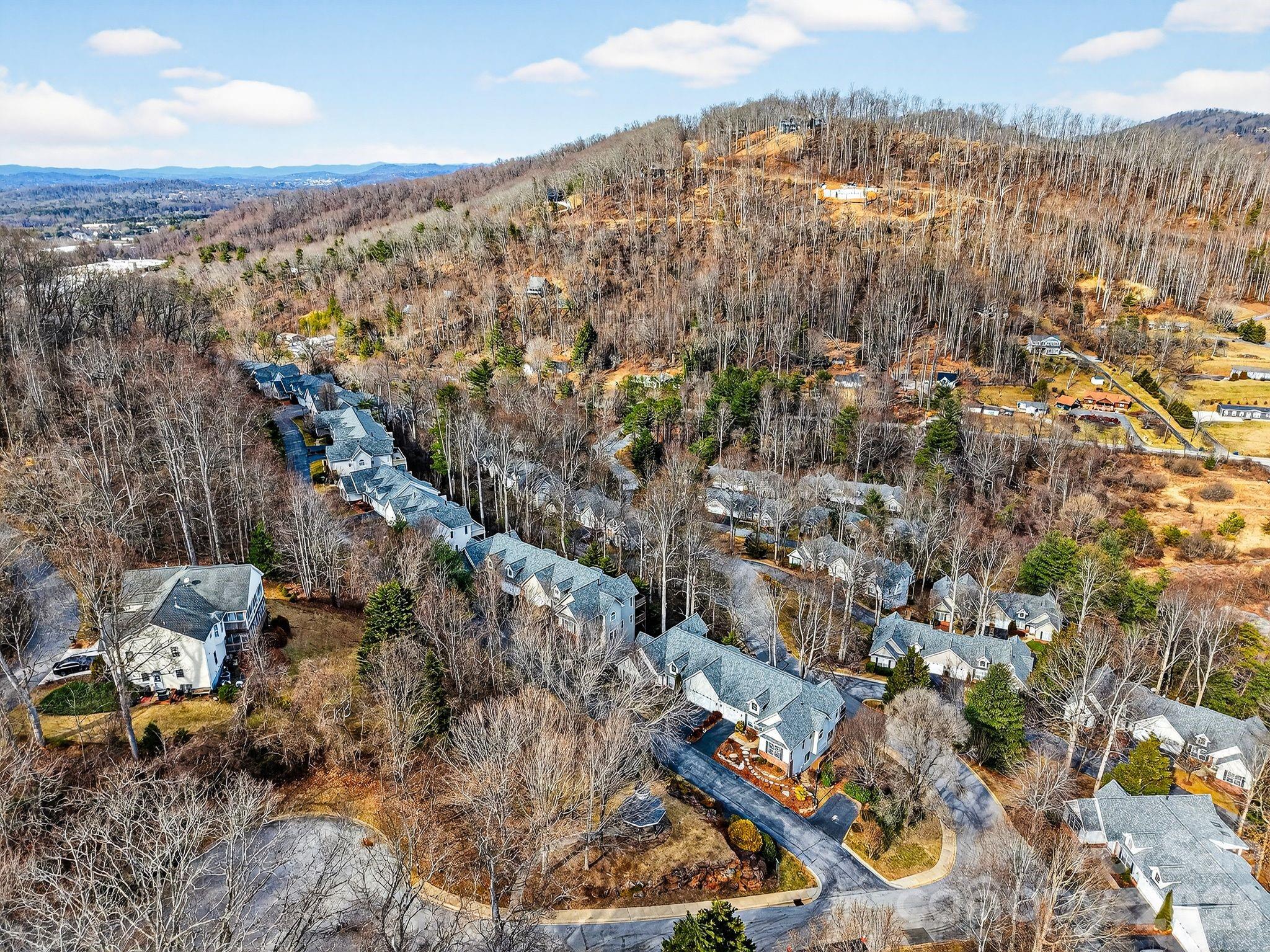 103 Trumpet Lane — Asheville
