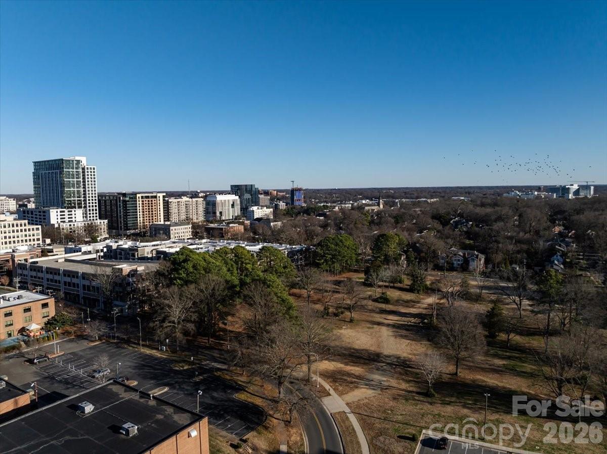 310 Arlington Avenue #217 — Charlotte