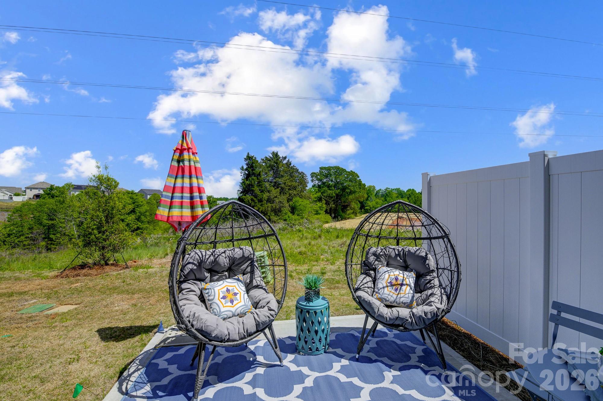 9234 Pagoda Oak Drive — Charlotte