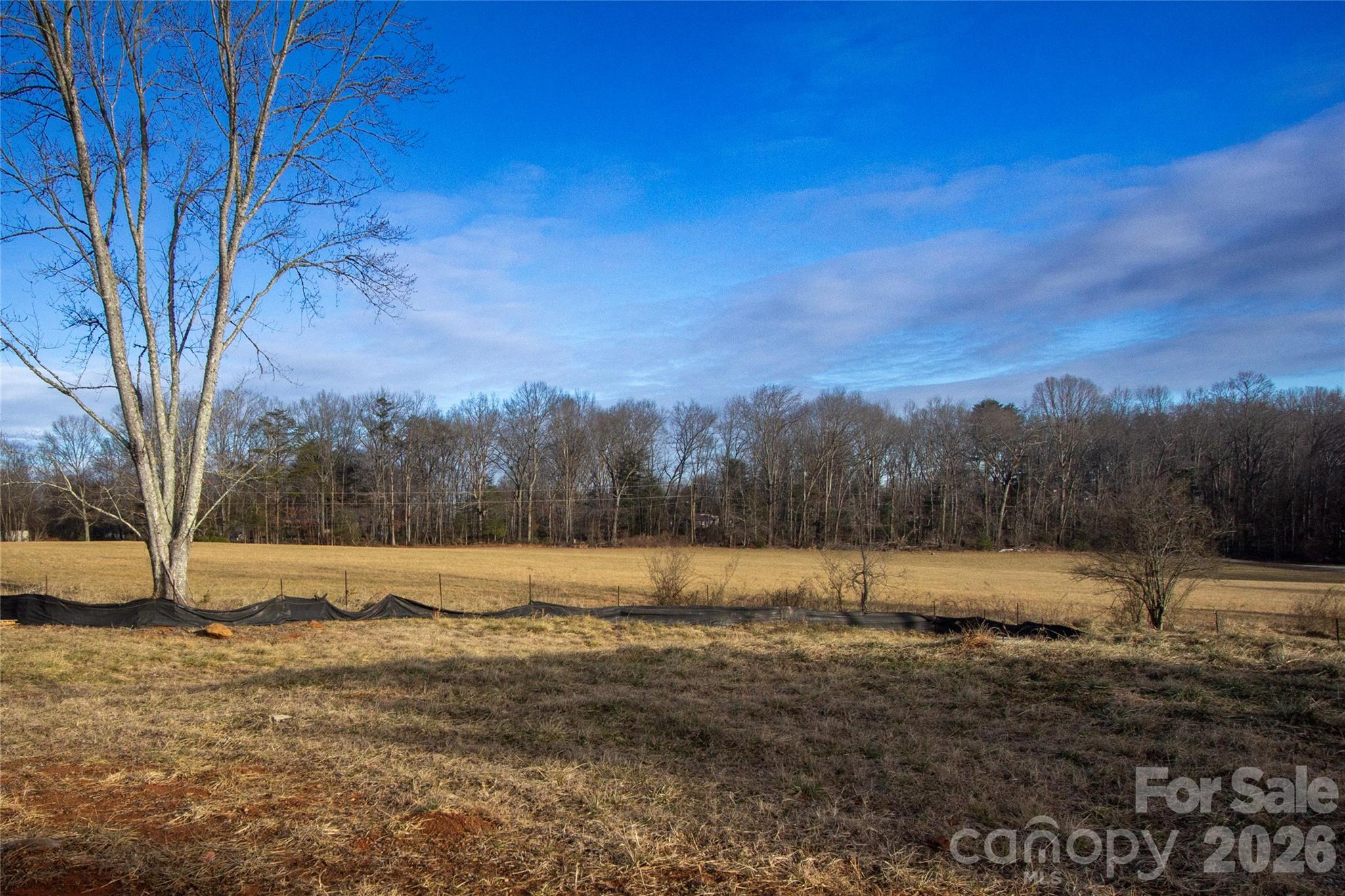 203 Southern Charm Road — Arden