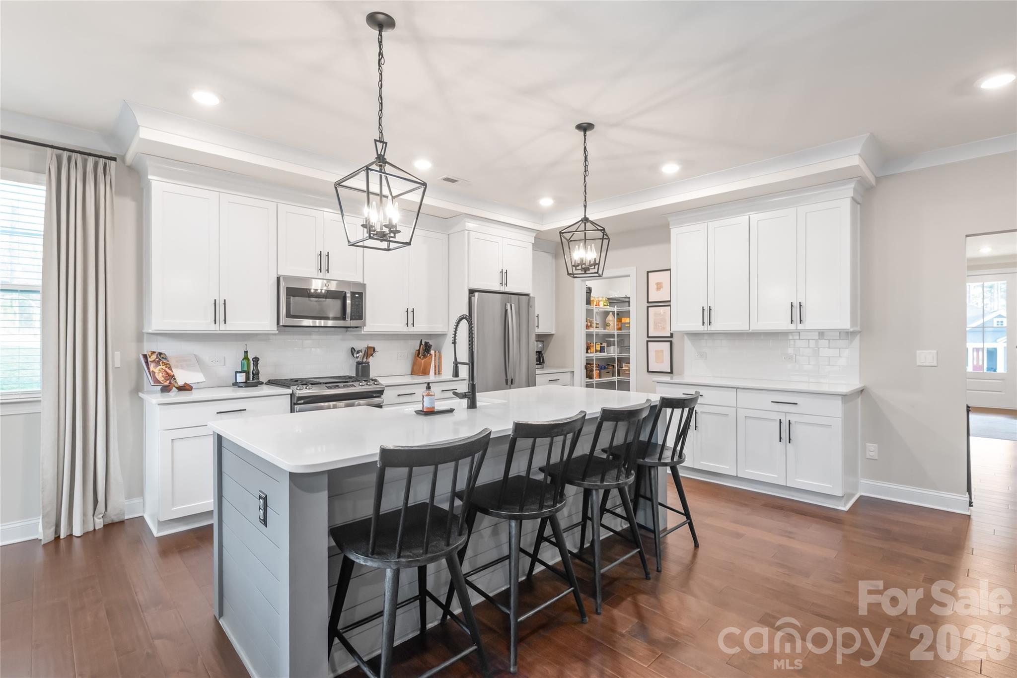 4307 Island Fox Lane — Denver