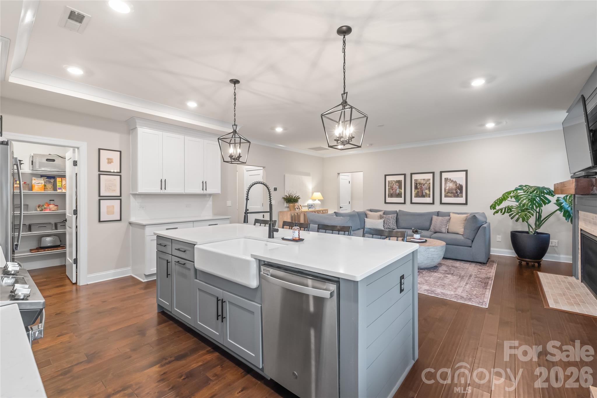 4307 Island Fox Lane — Denver