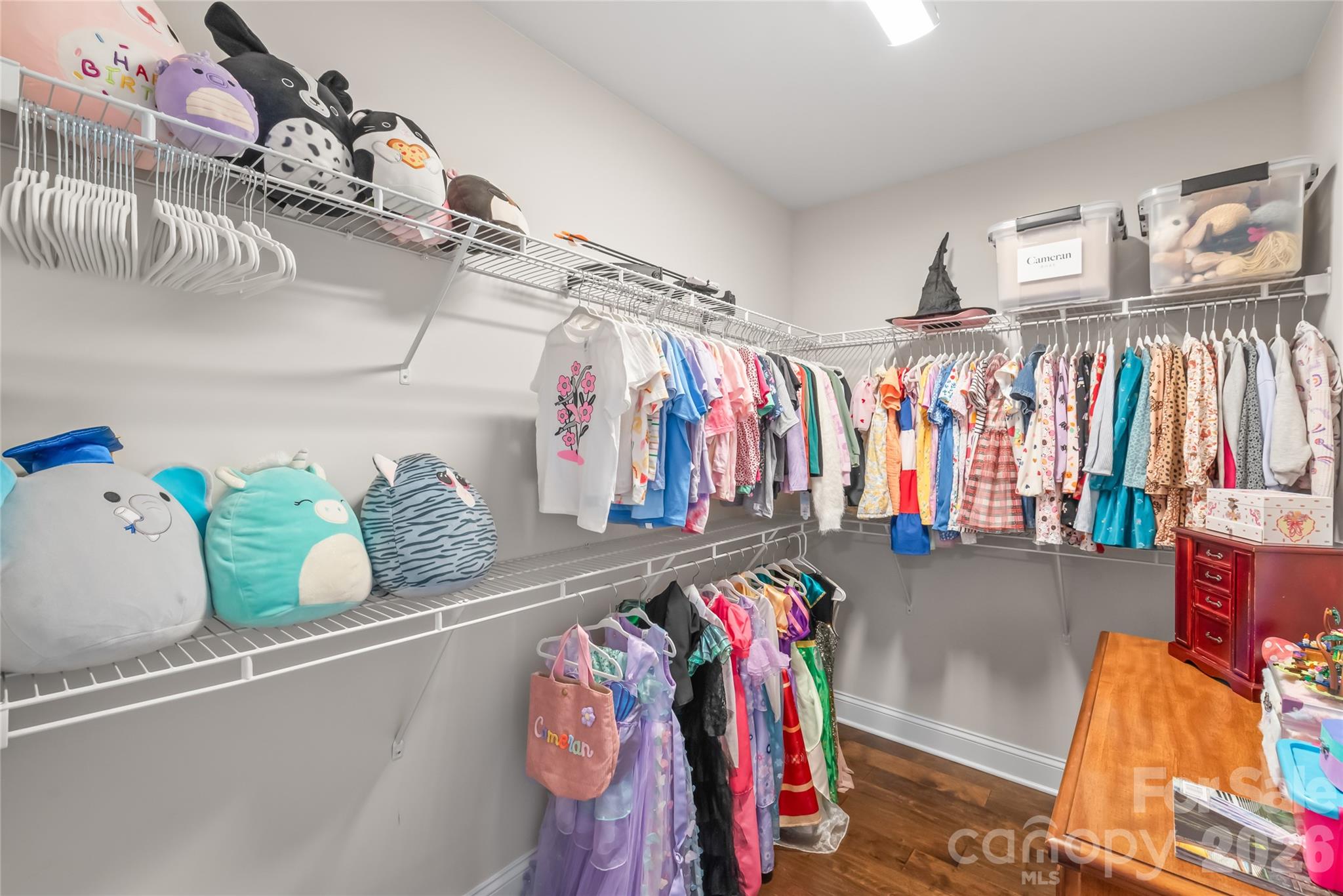 4307 Island Fox Lane — Denver