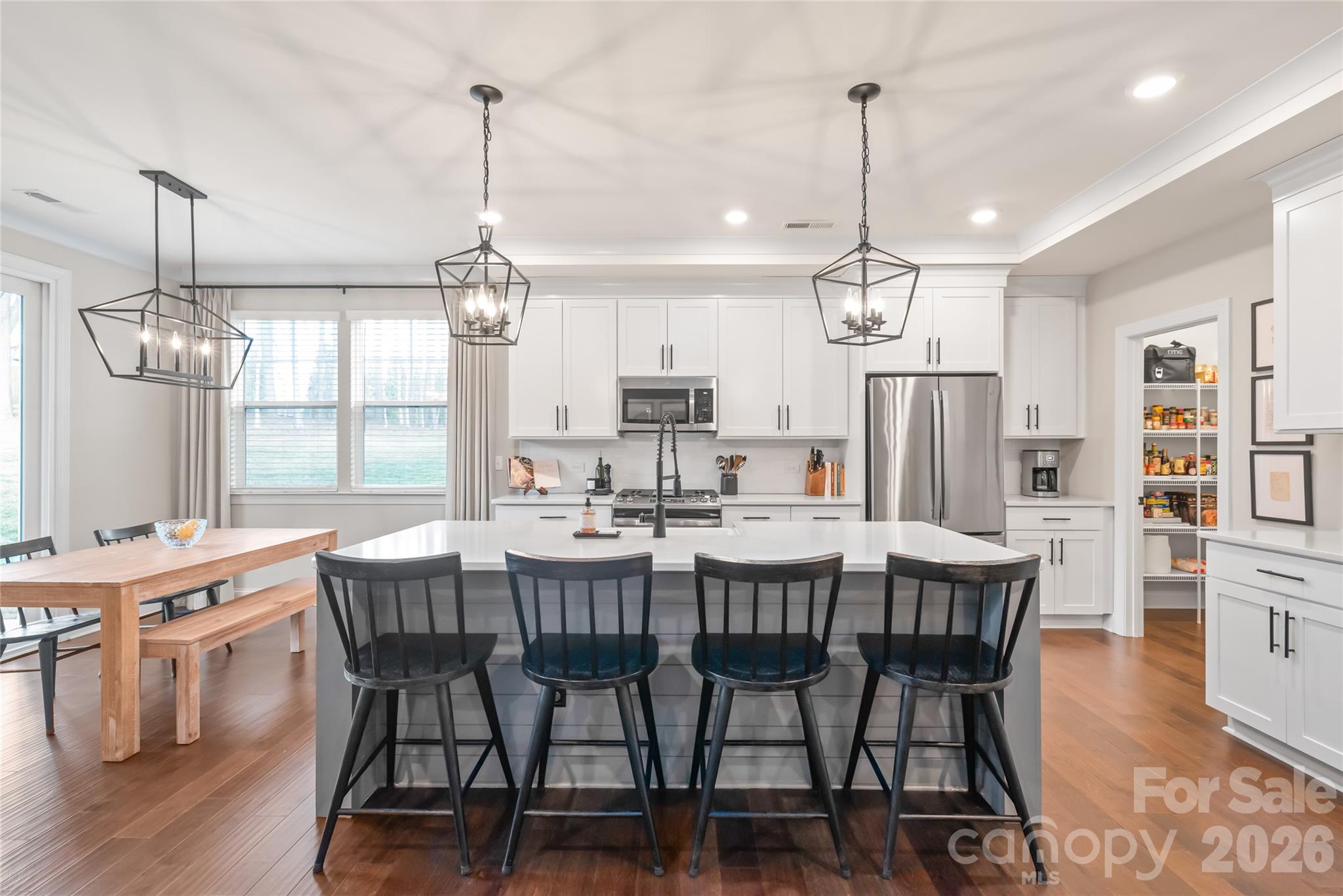 4307 Island Fox Lane — Denver
