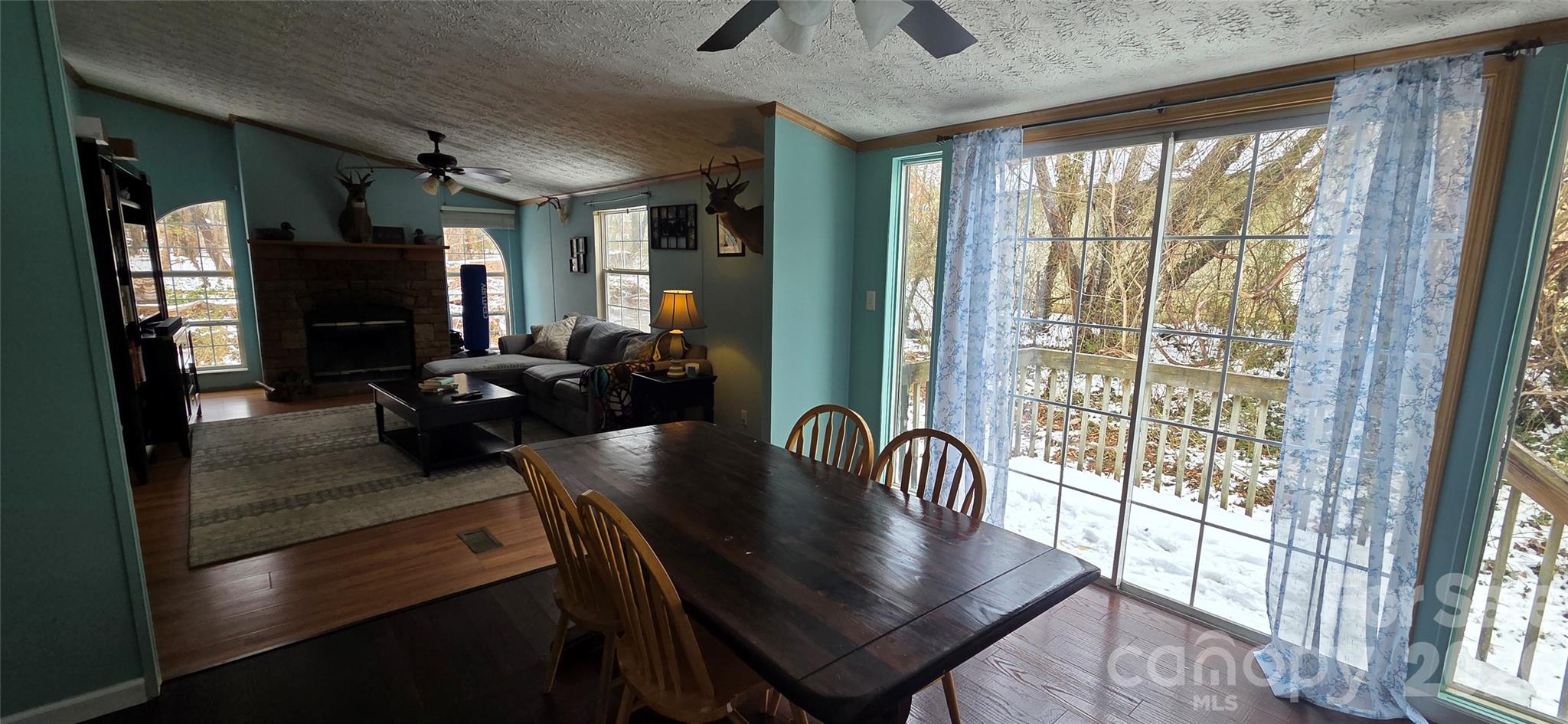 85 Vance Avenue — Black Mountain