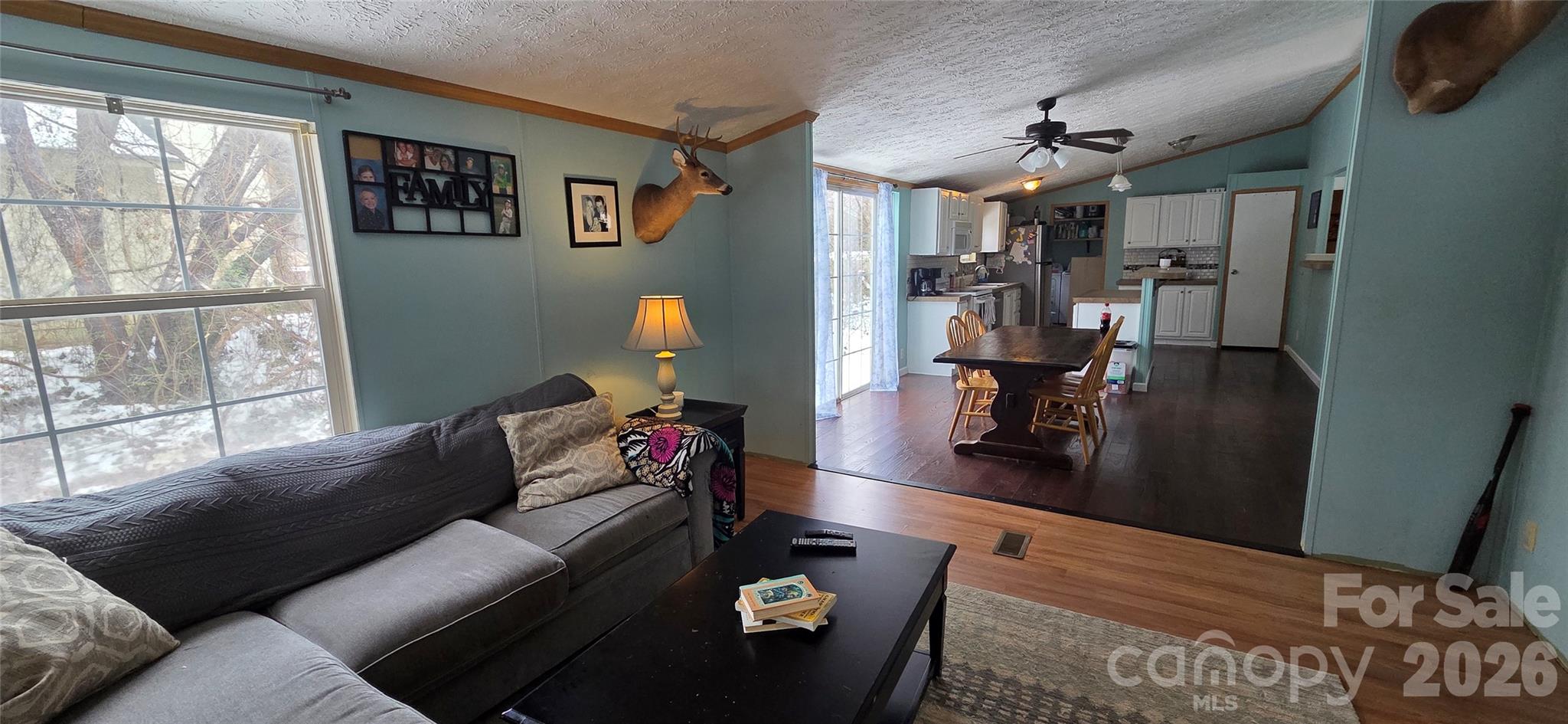 85 Vance Avenue — Black Mountain
