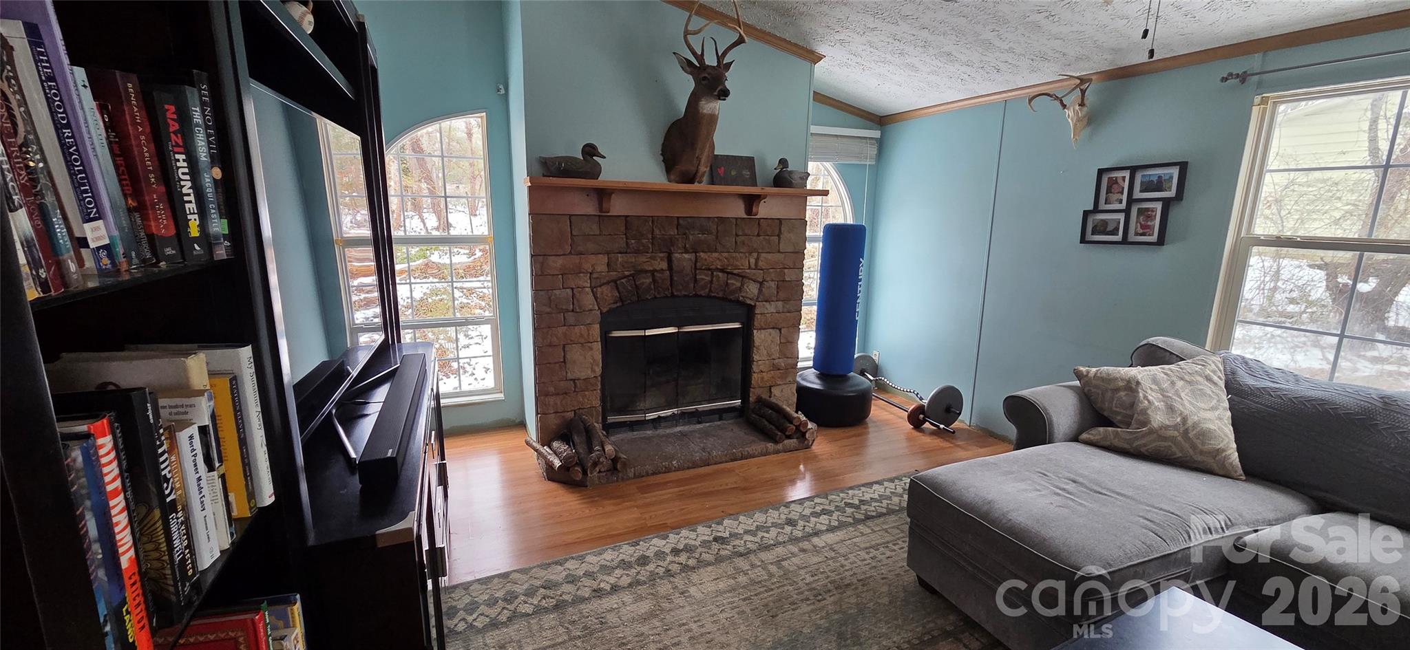 85 Vance Avenue — Black Mountain
