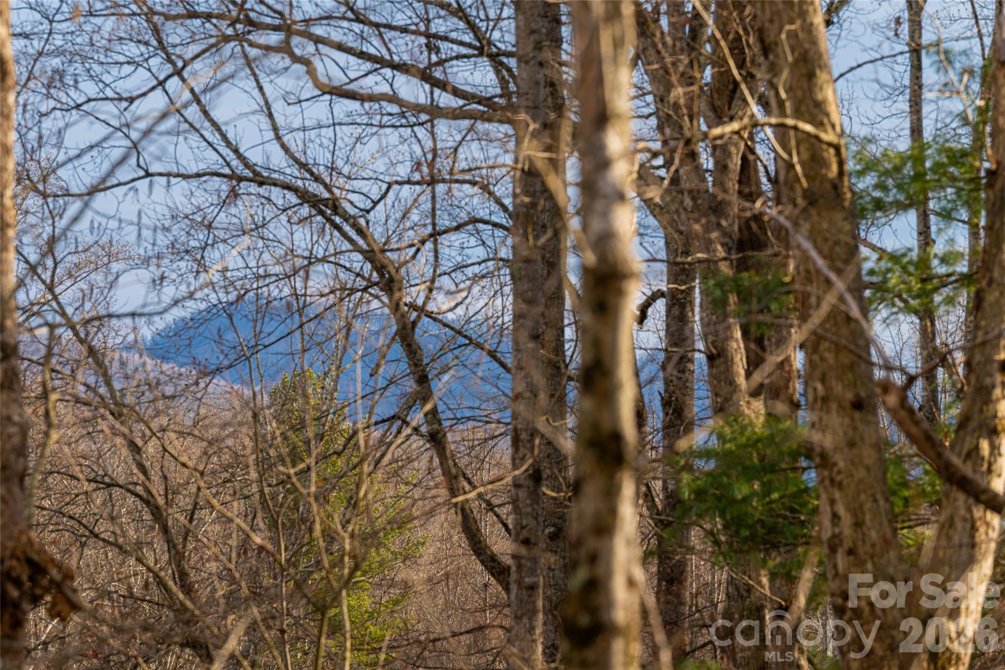 13 Cambridge Drive — Candler