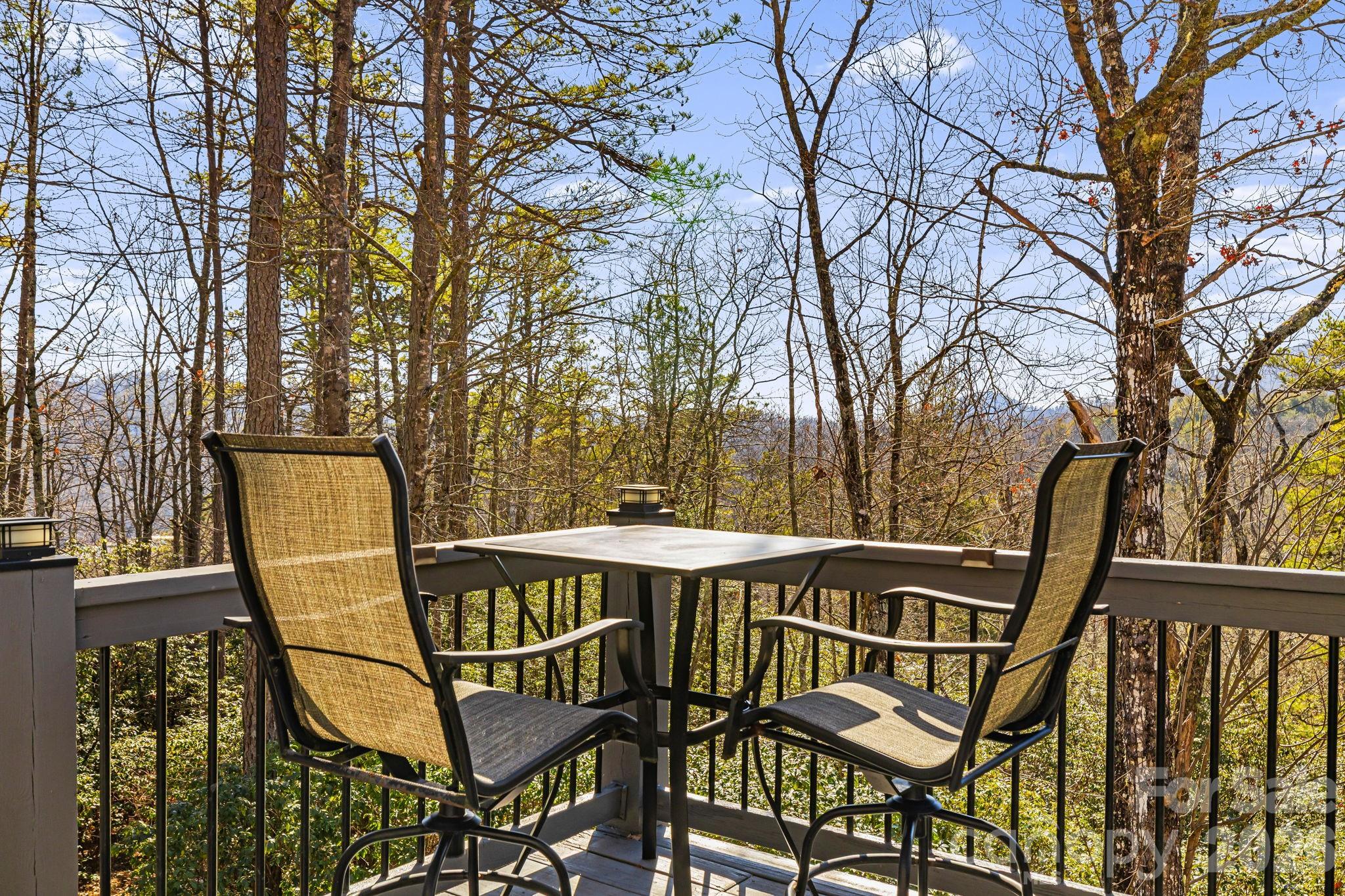 299 Lookout Drive — Pisgah Forest