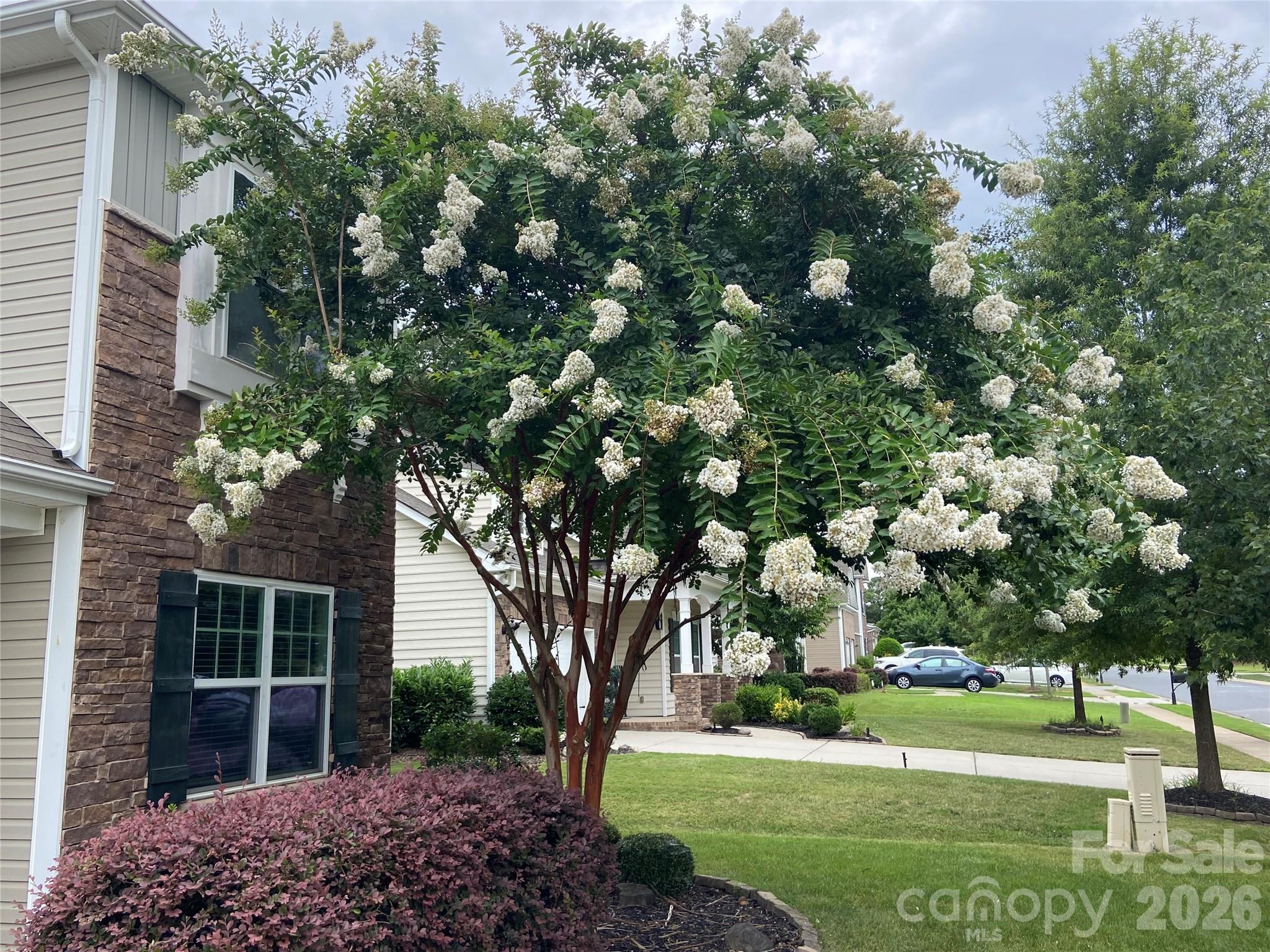 6111 Berewick Commons Parkway — Charlotte