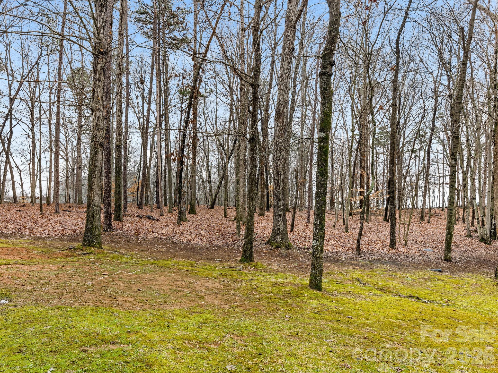 2219 Wade Funderburk Road — Pageland