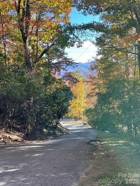 425 Flat Top Mountain Road — Fairview