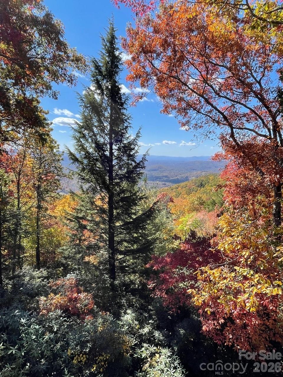 425 Flat Top Mountain Road — Fairview