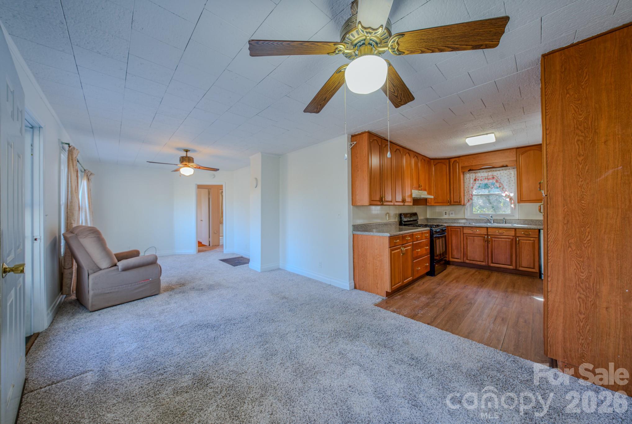 550 Saluda Street — Hendersonville