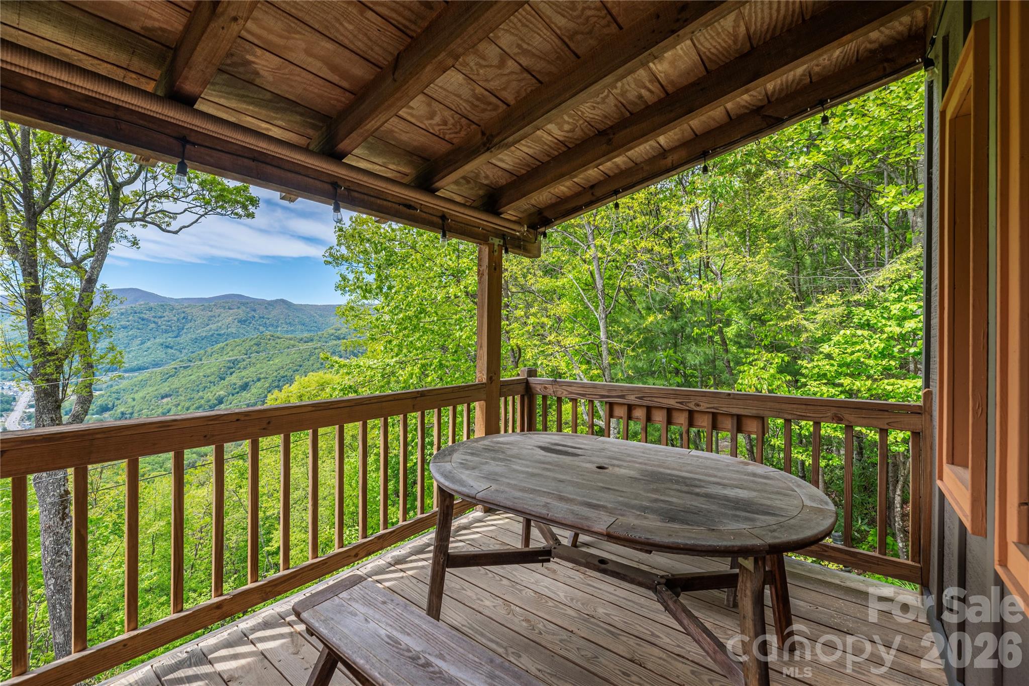 236 Dove Drive — Maggie Valley