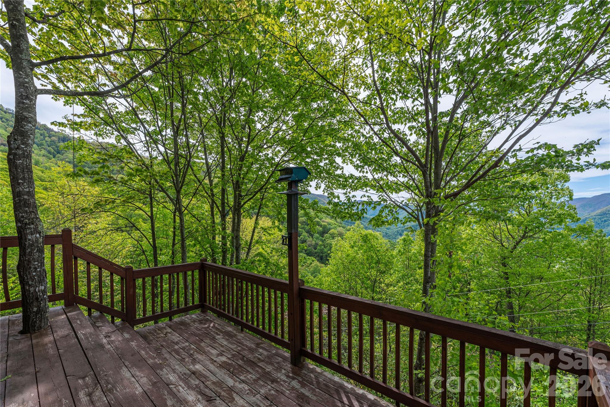 236 Dove Drive — Maggie Valley
