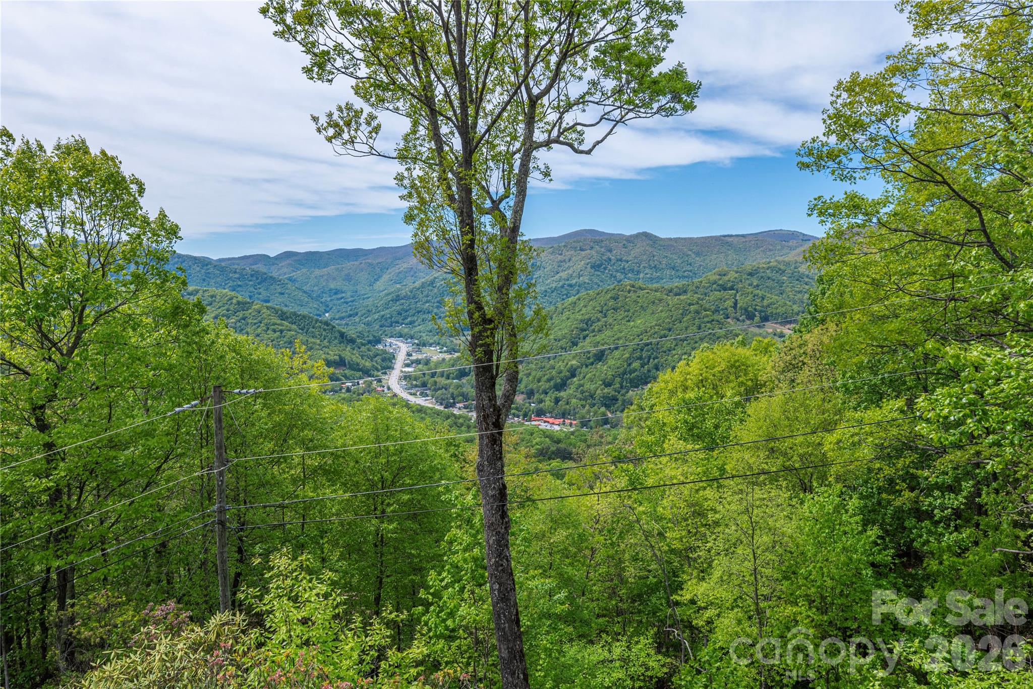 236 Dove Drive — Maggie Valley