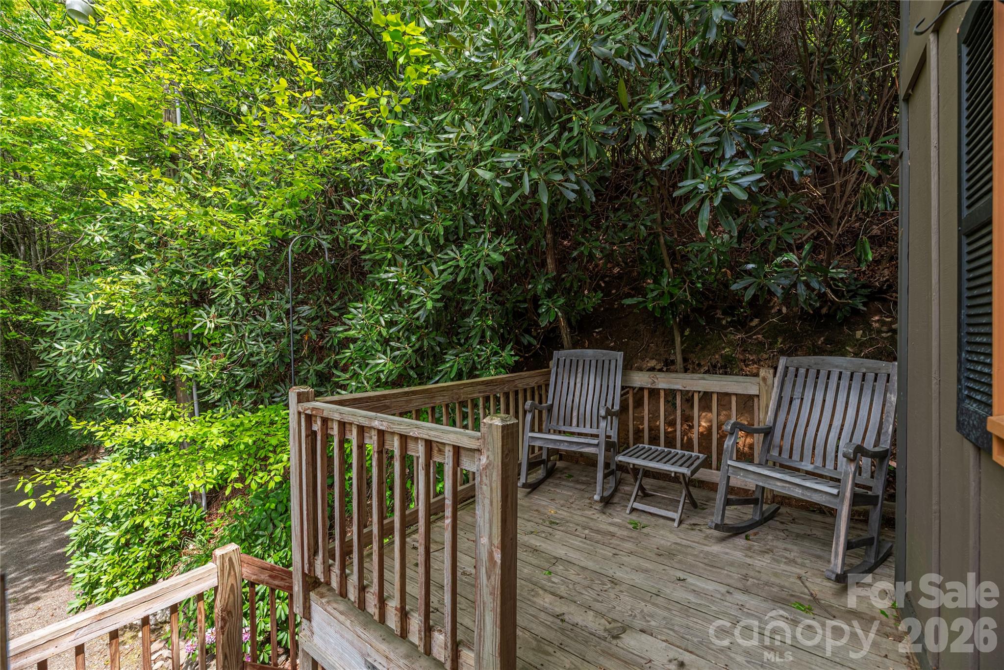 236 Dove Drive — Maggie Valley