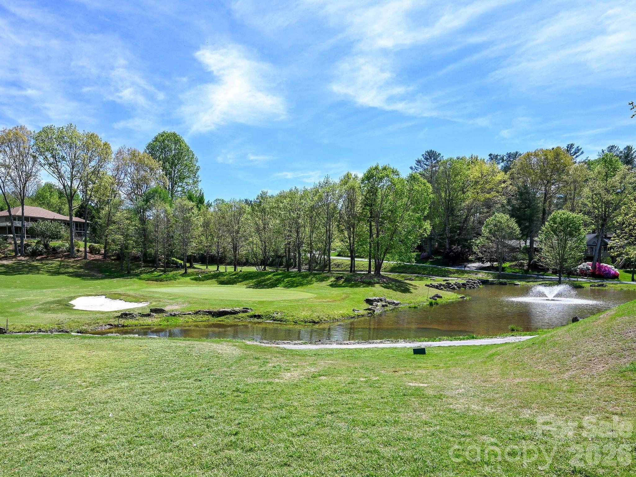 2208 E Cumming Woods Lane — Hendersonville