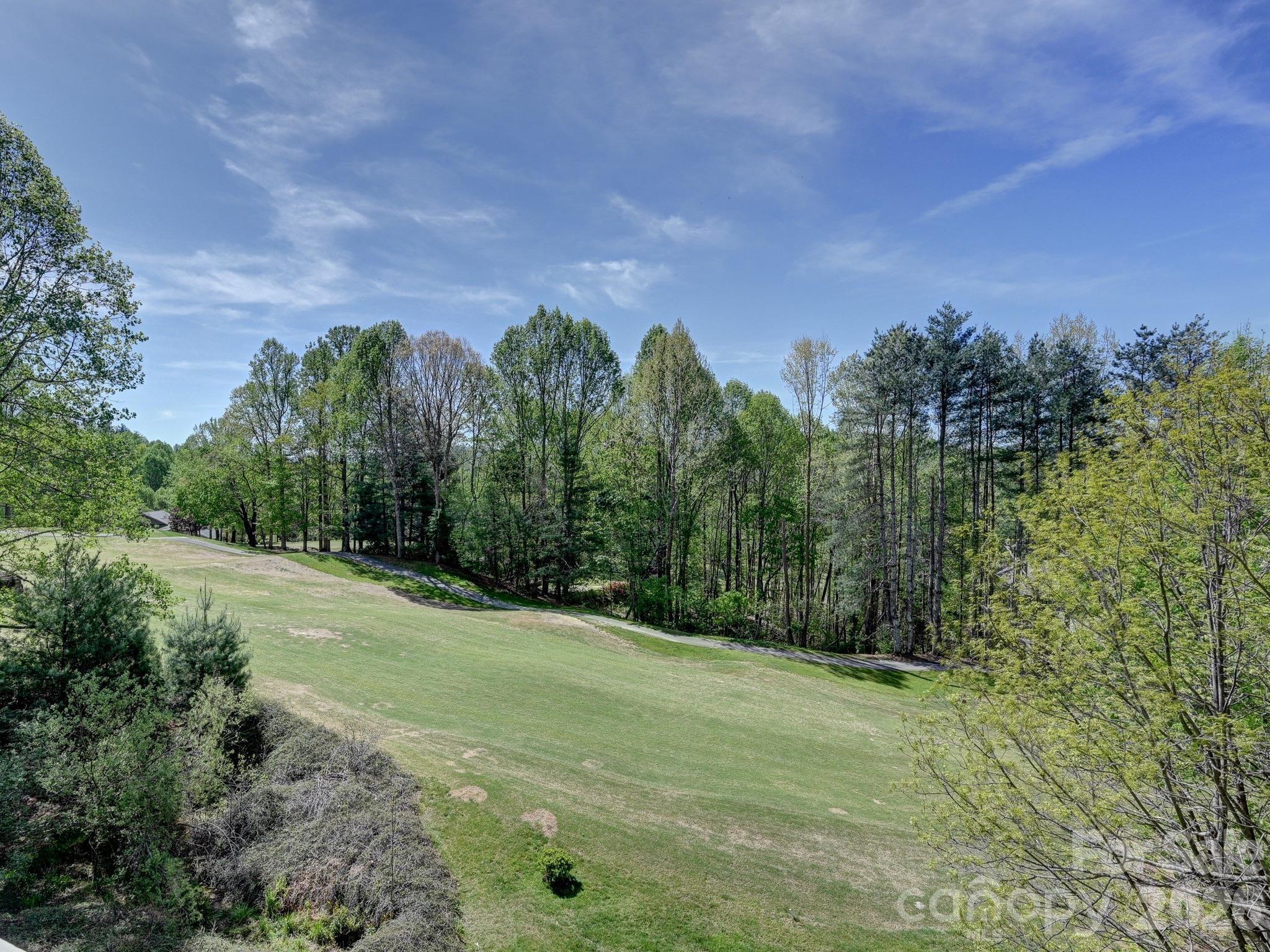 2208 E Cumming Woods Lane — Hendersonville
