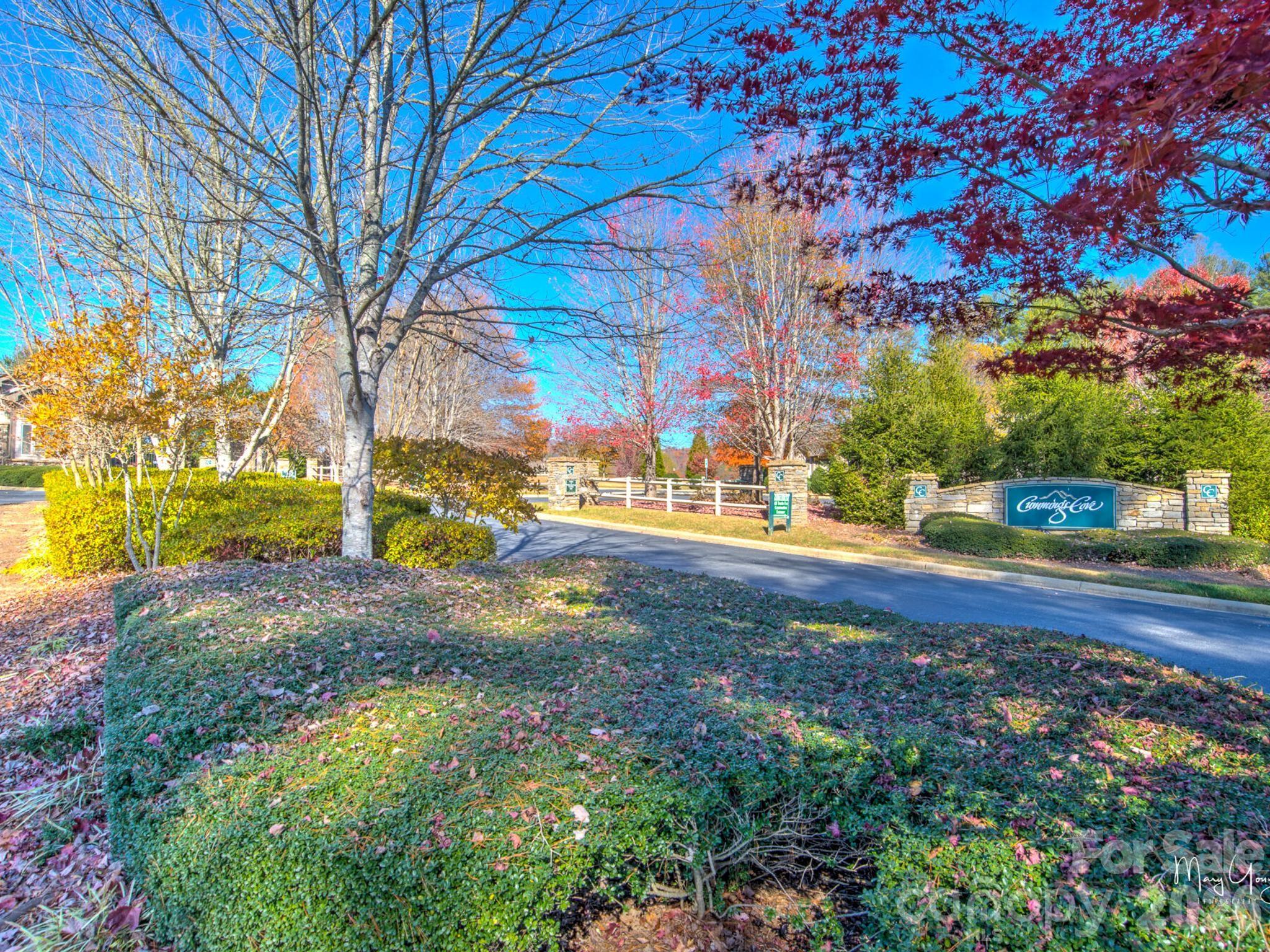 2208 E Cumming Woods Lane — Hendersonville