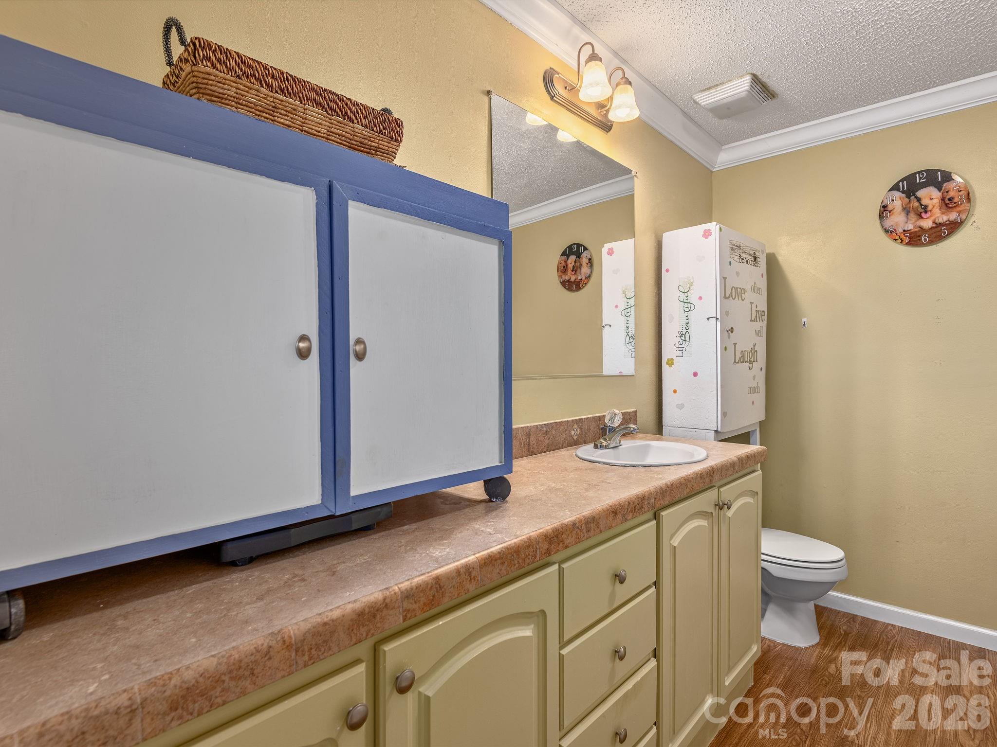 373 Starnes Cove Road — Candler