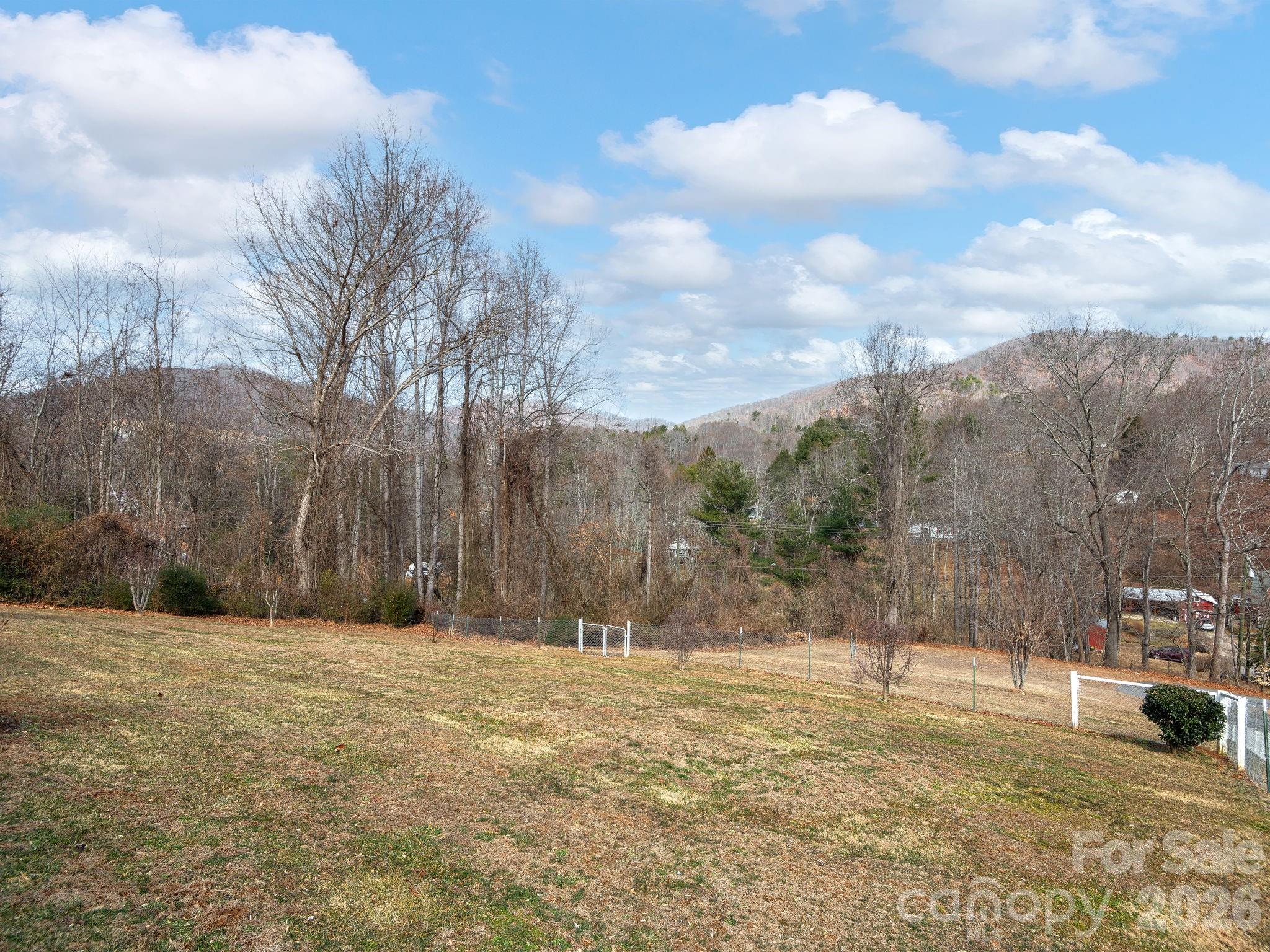 373 Starnes Cove Road — Candler