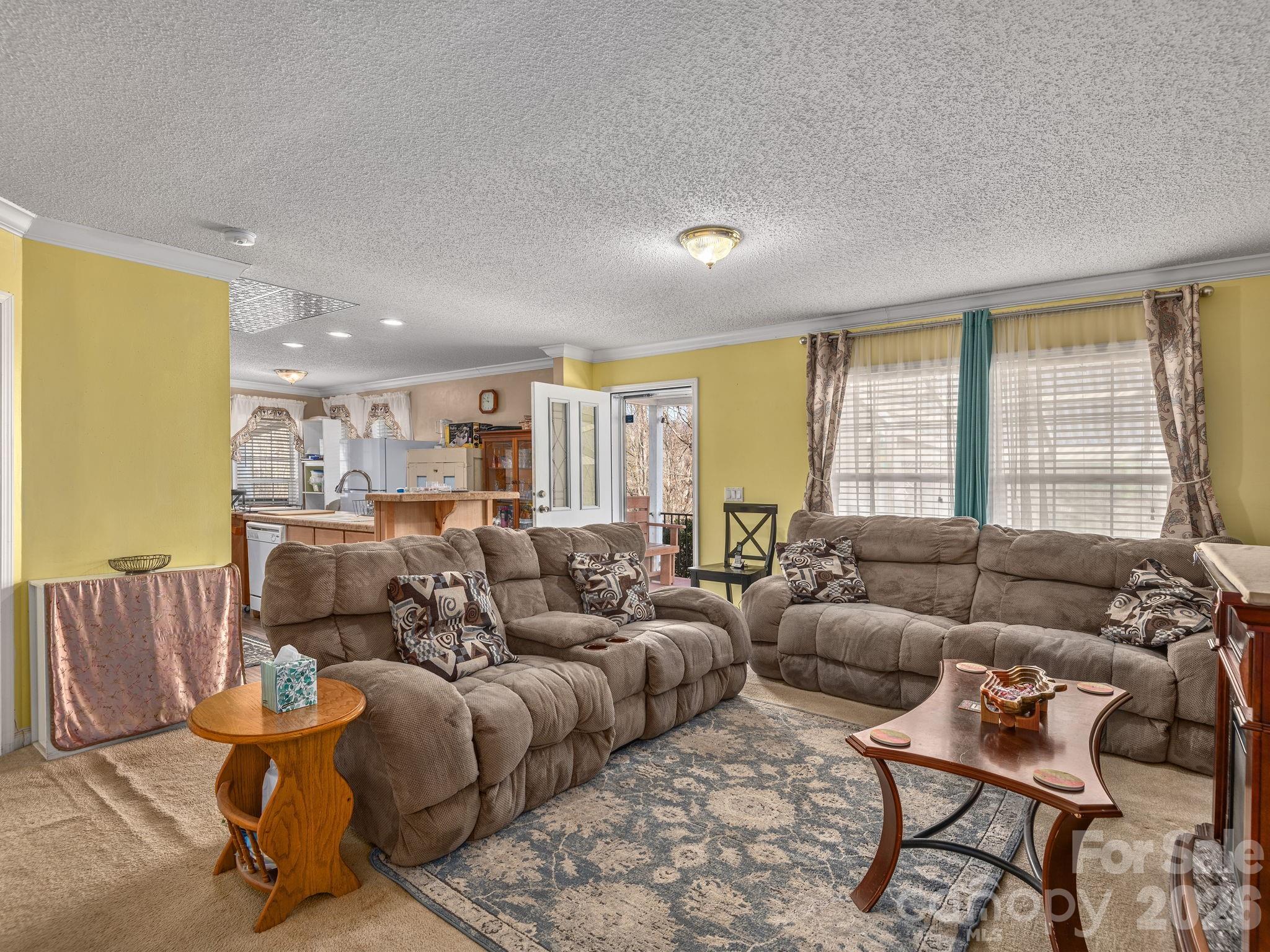 373 Starnes Cove Road — Candler