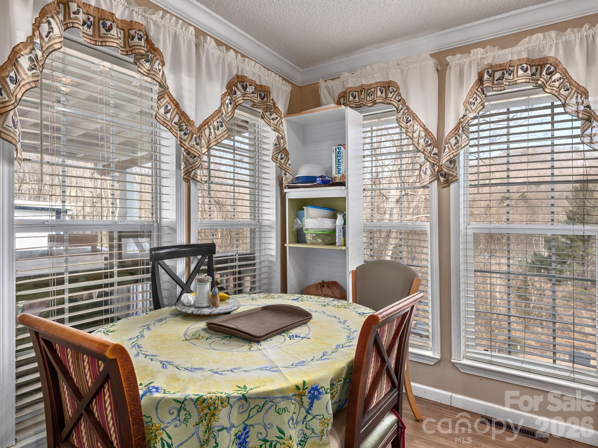 373 Starnes Cove Road — Candler